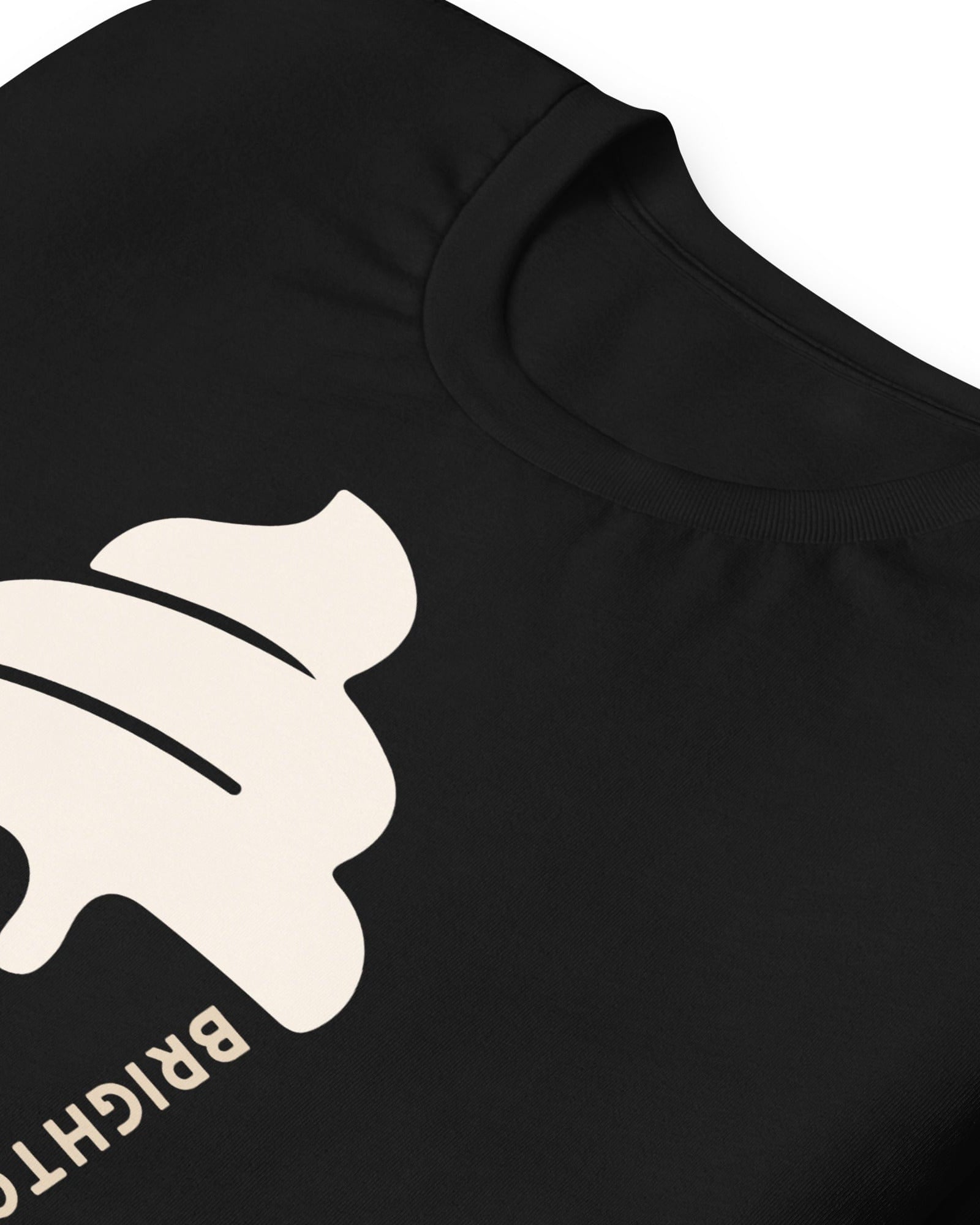 Brighton & Hove Ice Cream T-shirt.