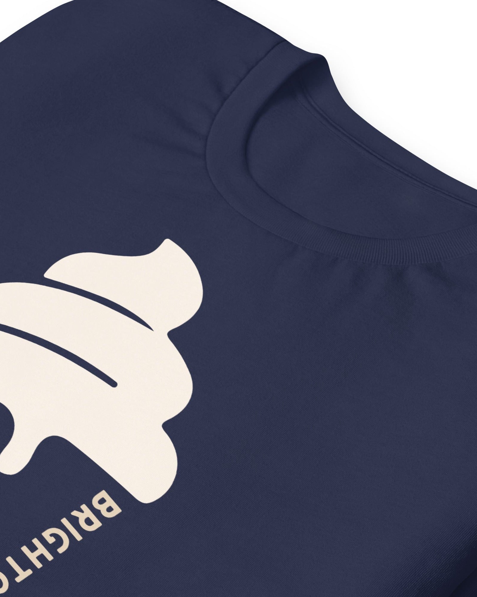 Brighton & Hove Ice Cream T-shirt.