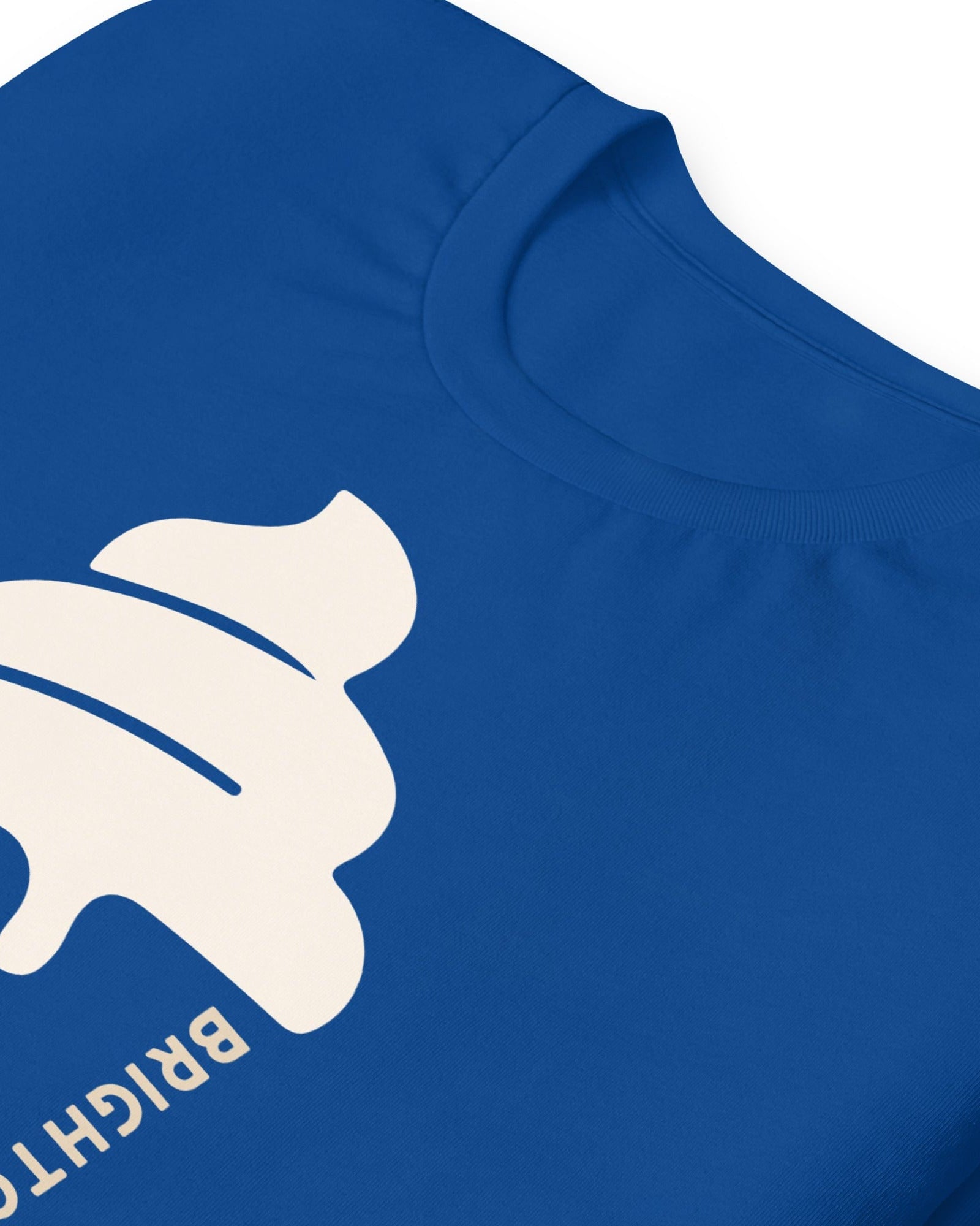 Brighton & Hove Ice Cream T-shirt.