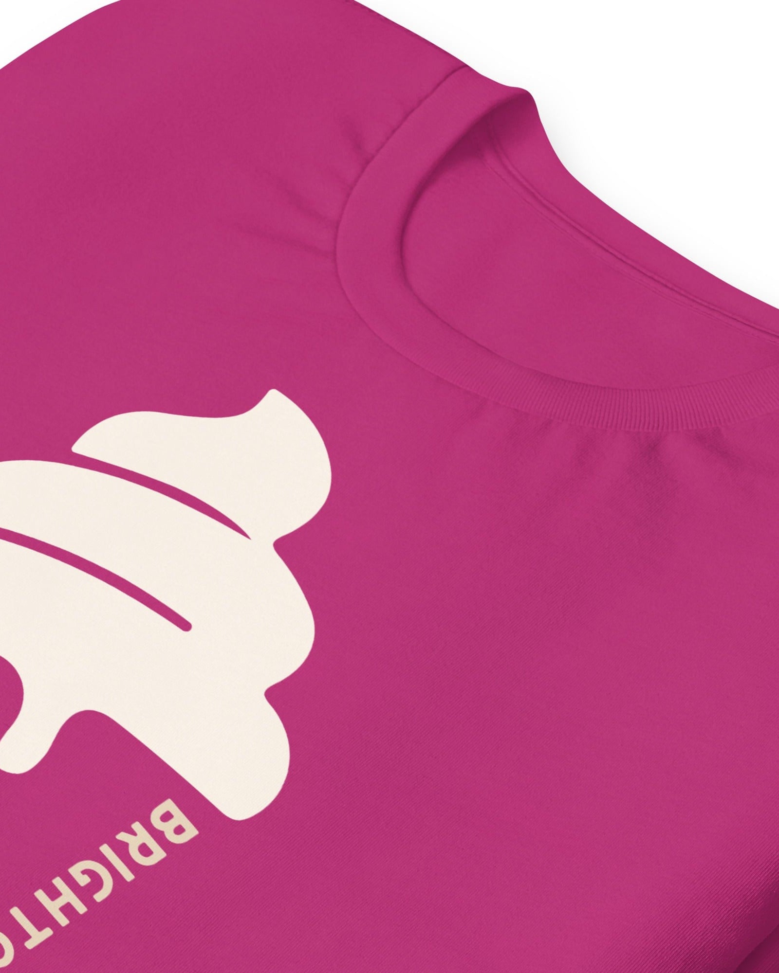 Brighton & Hove Ice Cream T-shirt.