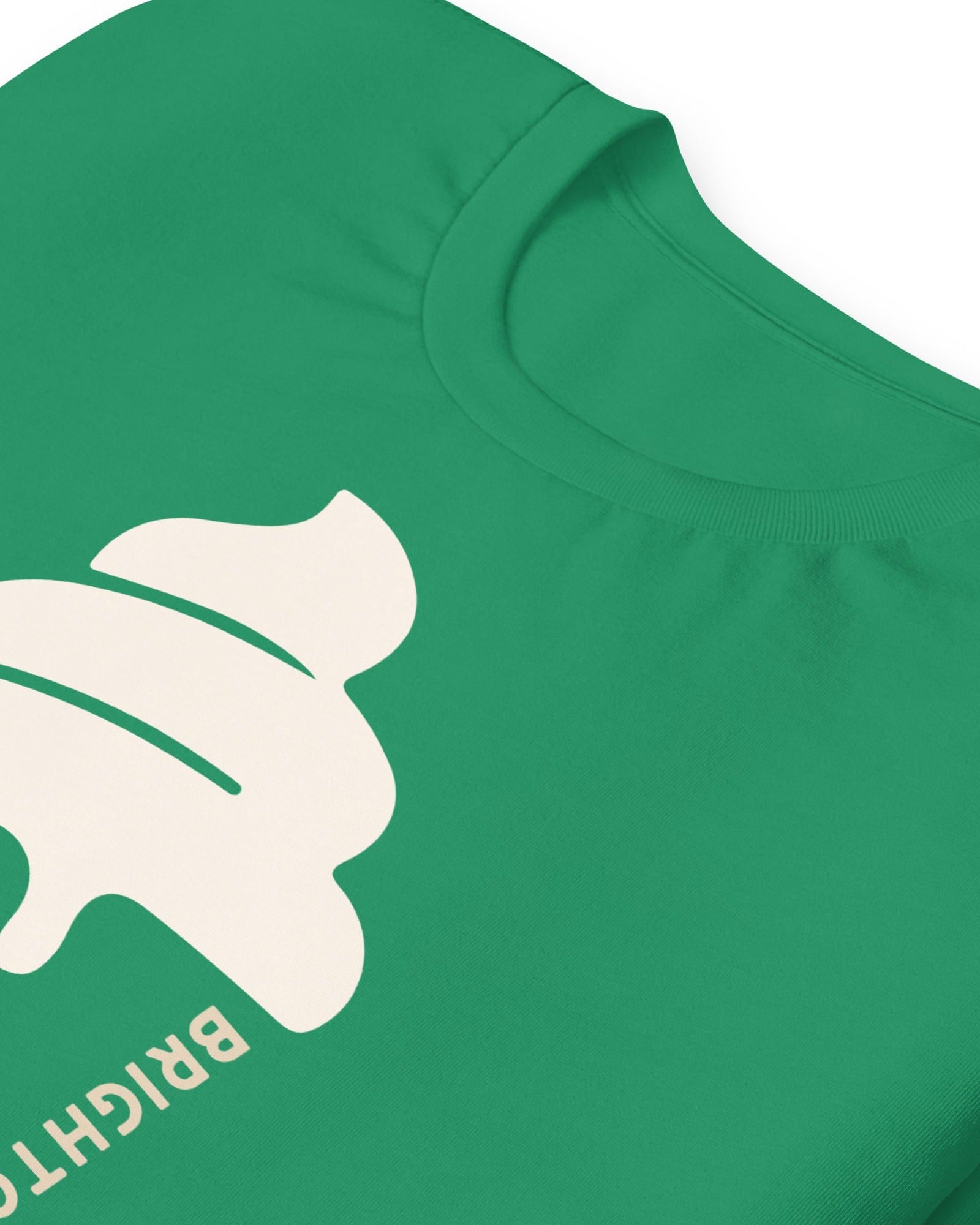 Brighton & Hove Ice Cream T-shirt.