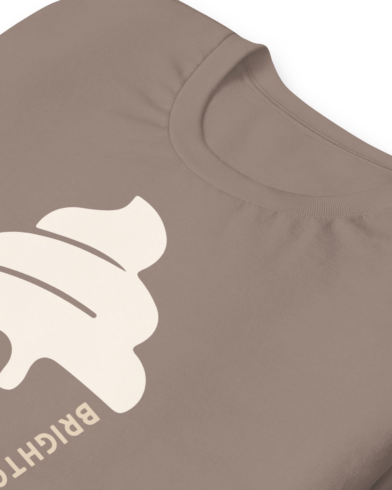 Brighton & Hove Ice Cream T-shirt.