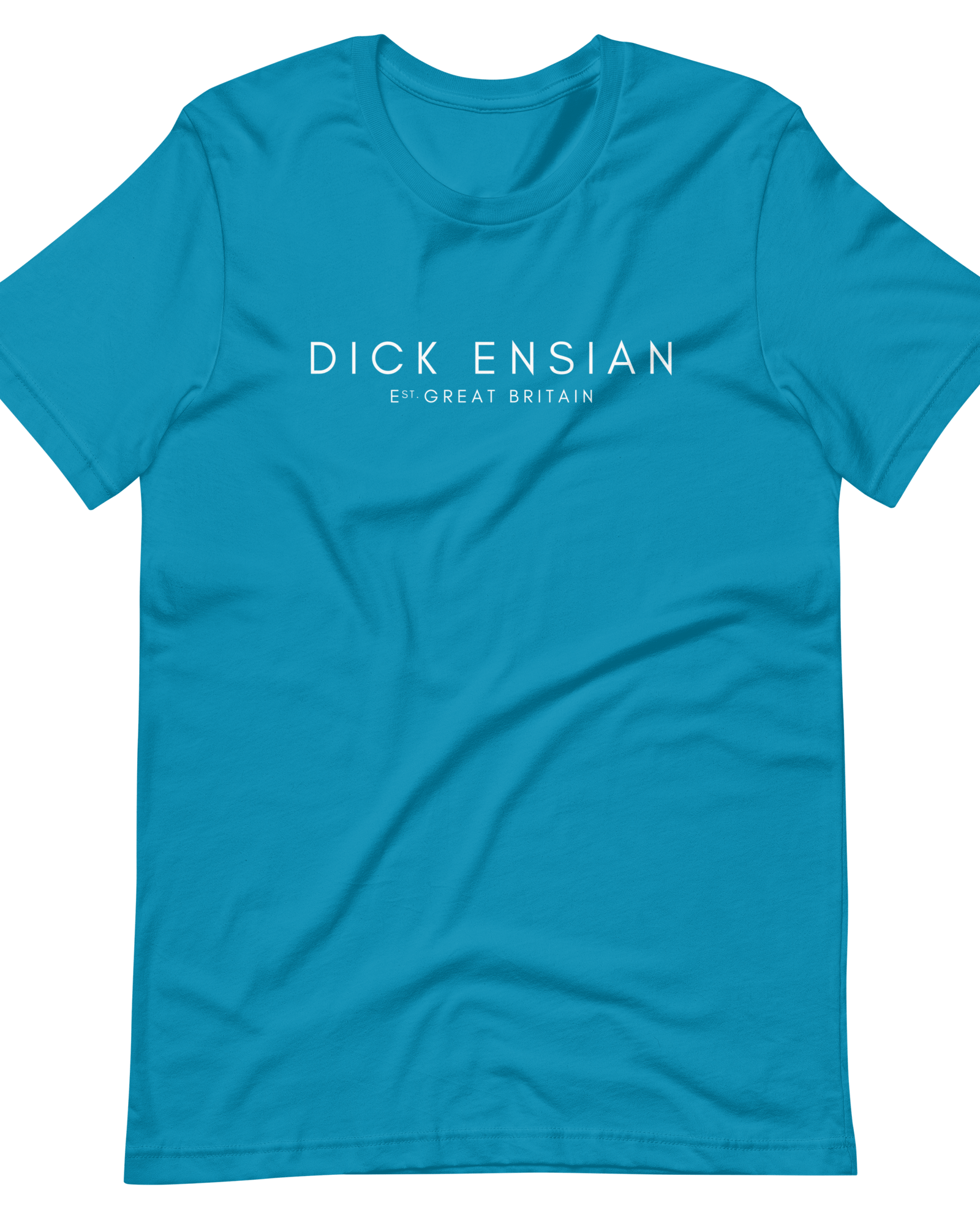 Dick Ensian T-Shirt Aqua / S Shirts & Tops Jolly & Goode