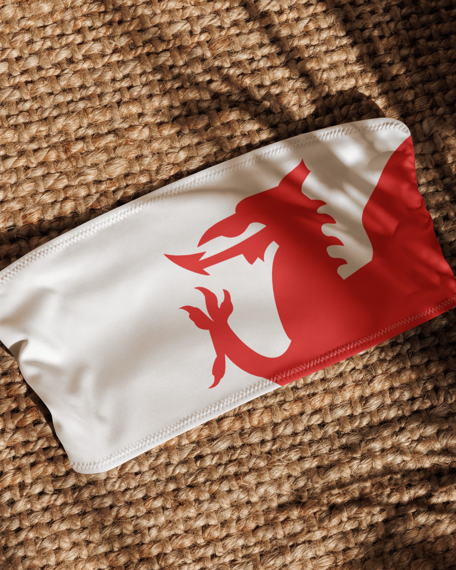 Jolly & Goode Bikini Top Flag of Wales Bandeau Bikini Top | Welsh Flag Cheeky British Style
