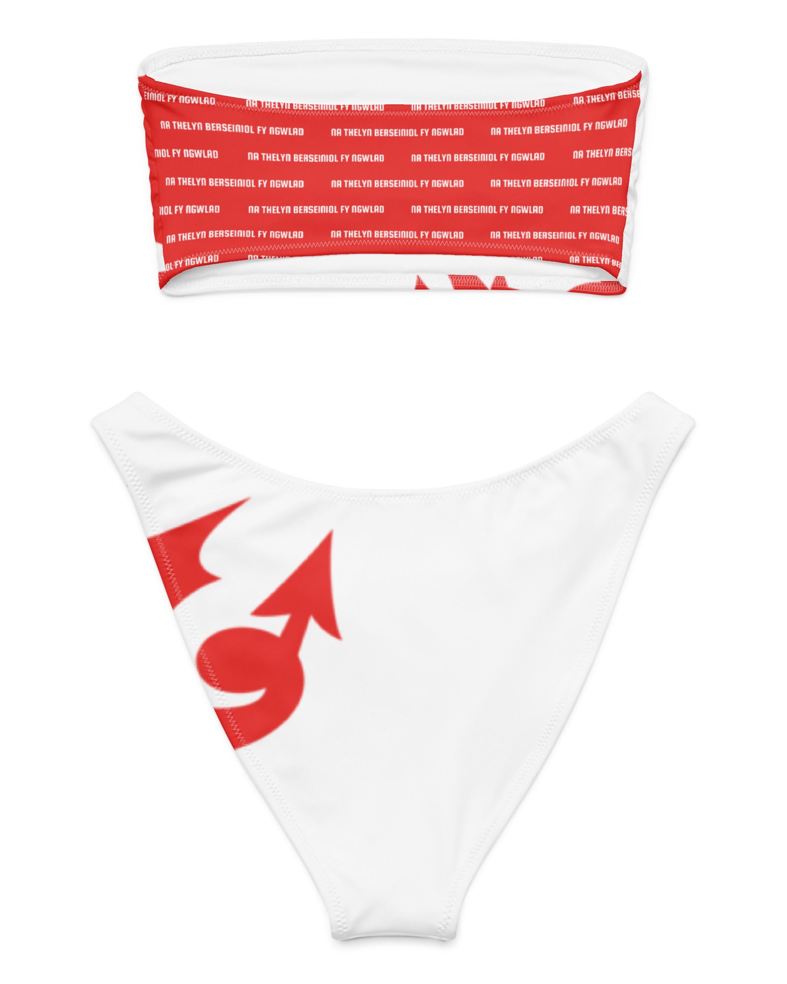 Jolly & Goode Bikini Welsh Dragon Bandeau Bikini Set Cheeky British Style