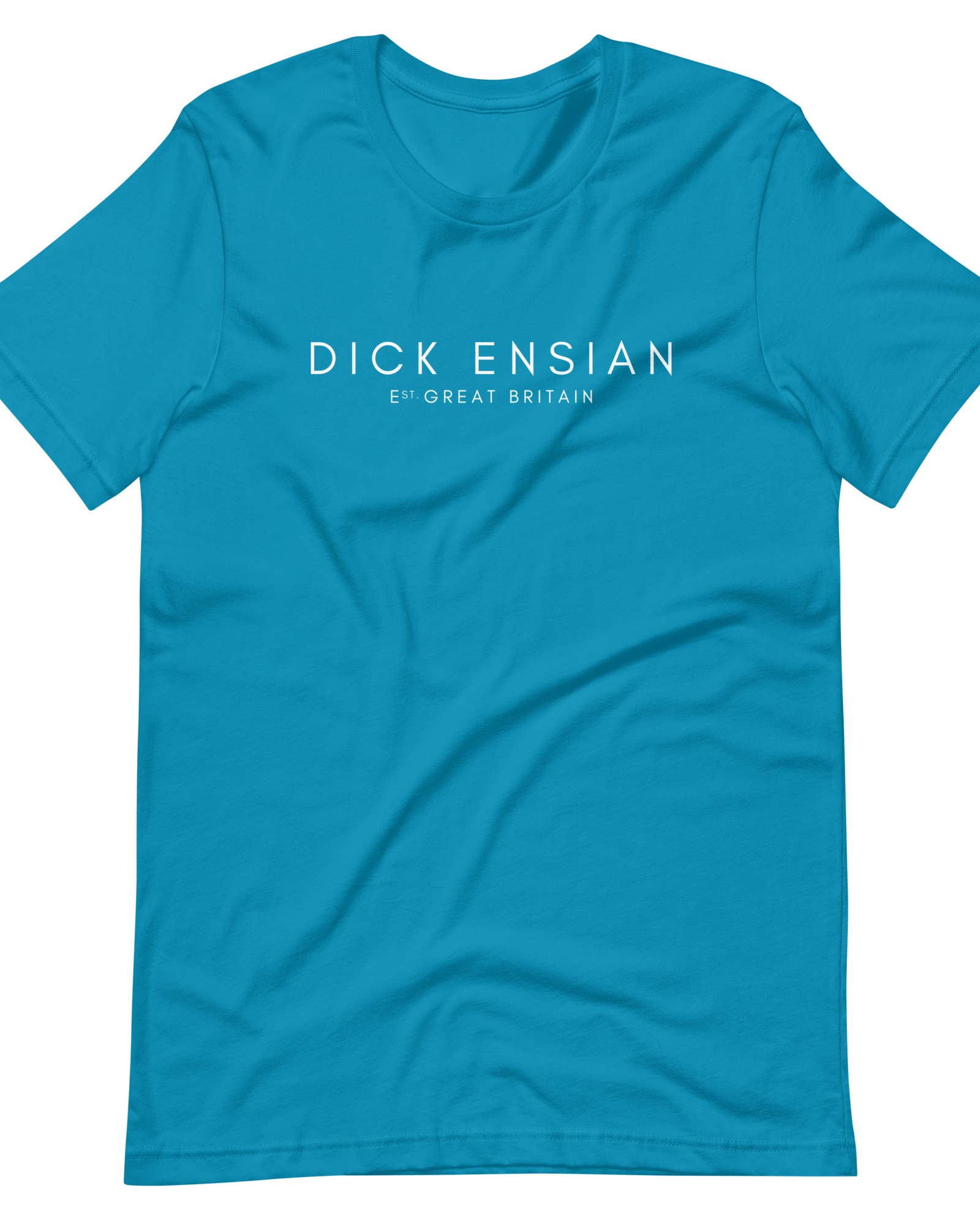 Jolly & Goode Shirts & Tops Aqua / S Dick Ensian Classic T-Shirt Cheeky British Style