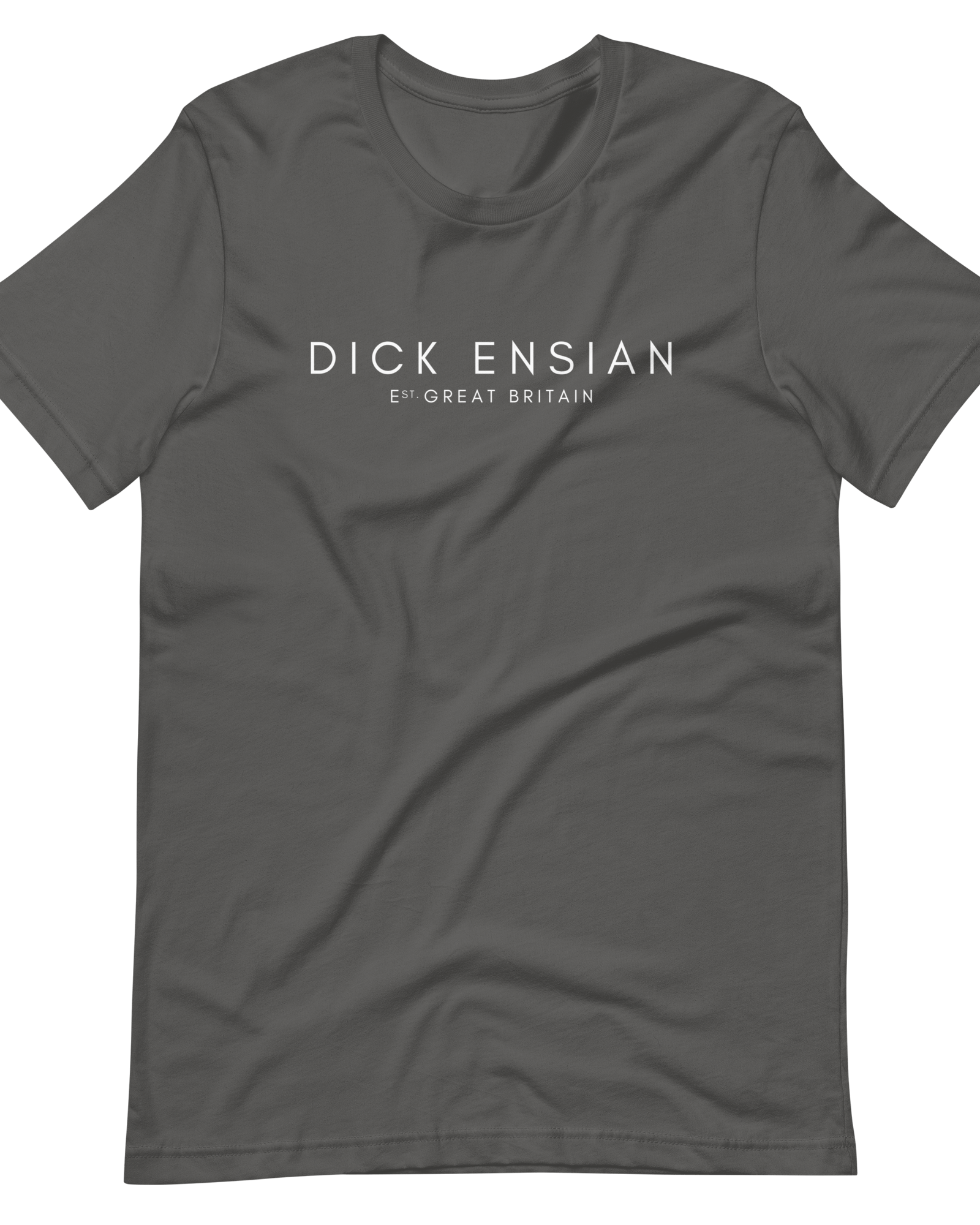 Jolly & Goode Shirts & Tops Asphalt / S Dick Ensian Classic T-Shirt Cheeky British Style