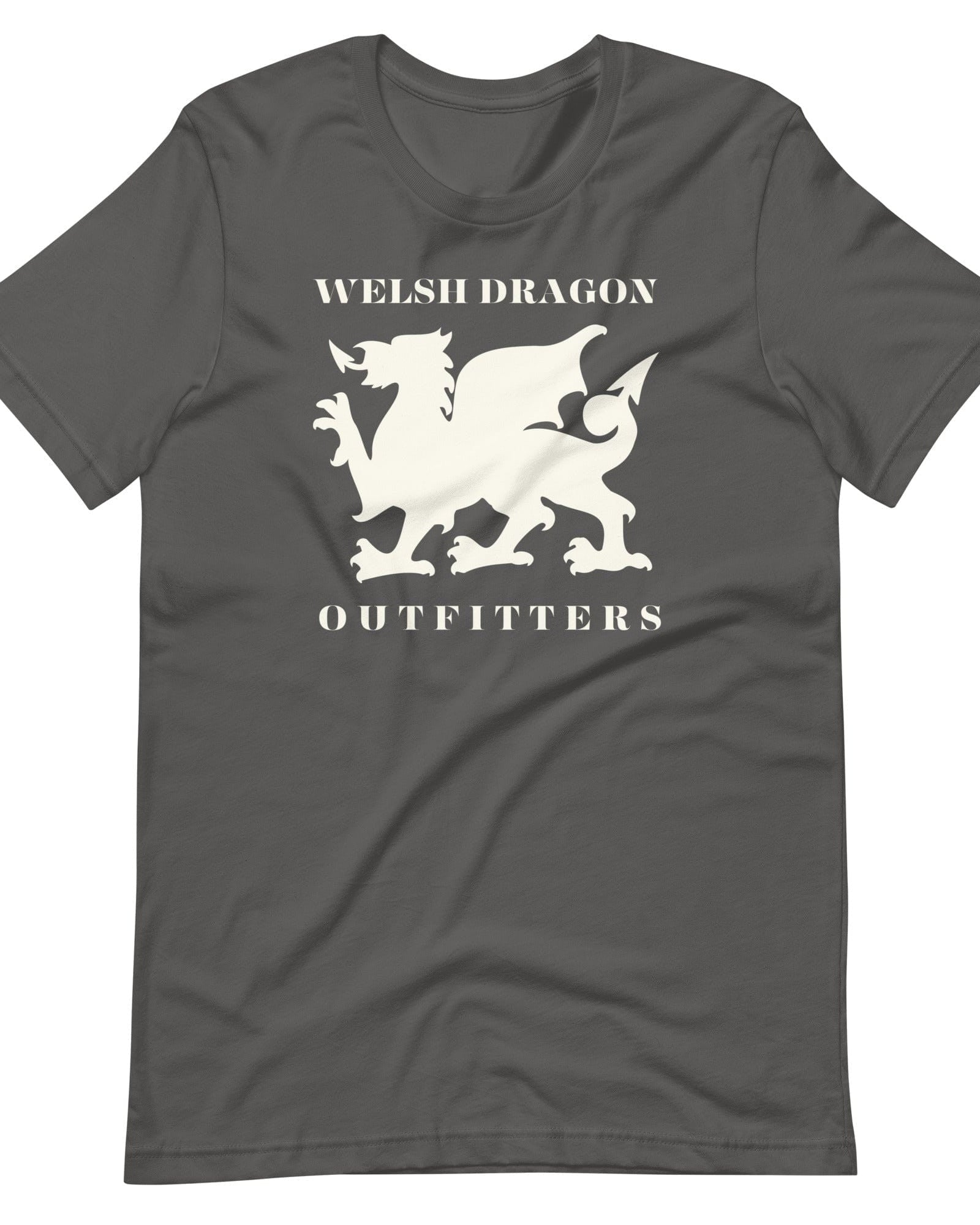 Jolly & Goode Shirts & Tops Asphalt / S Welsh Dragon Outfitters T-shirt Cheeky British Style