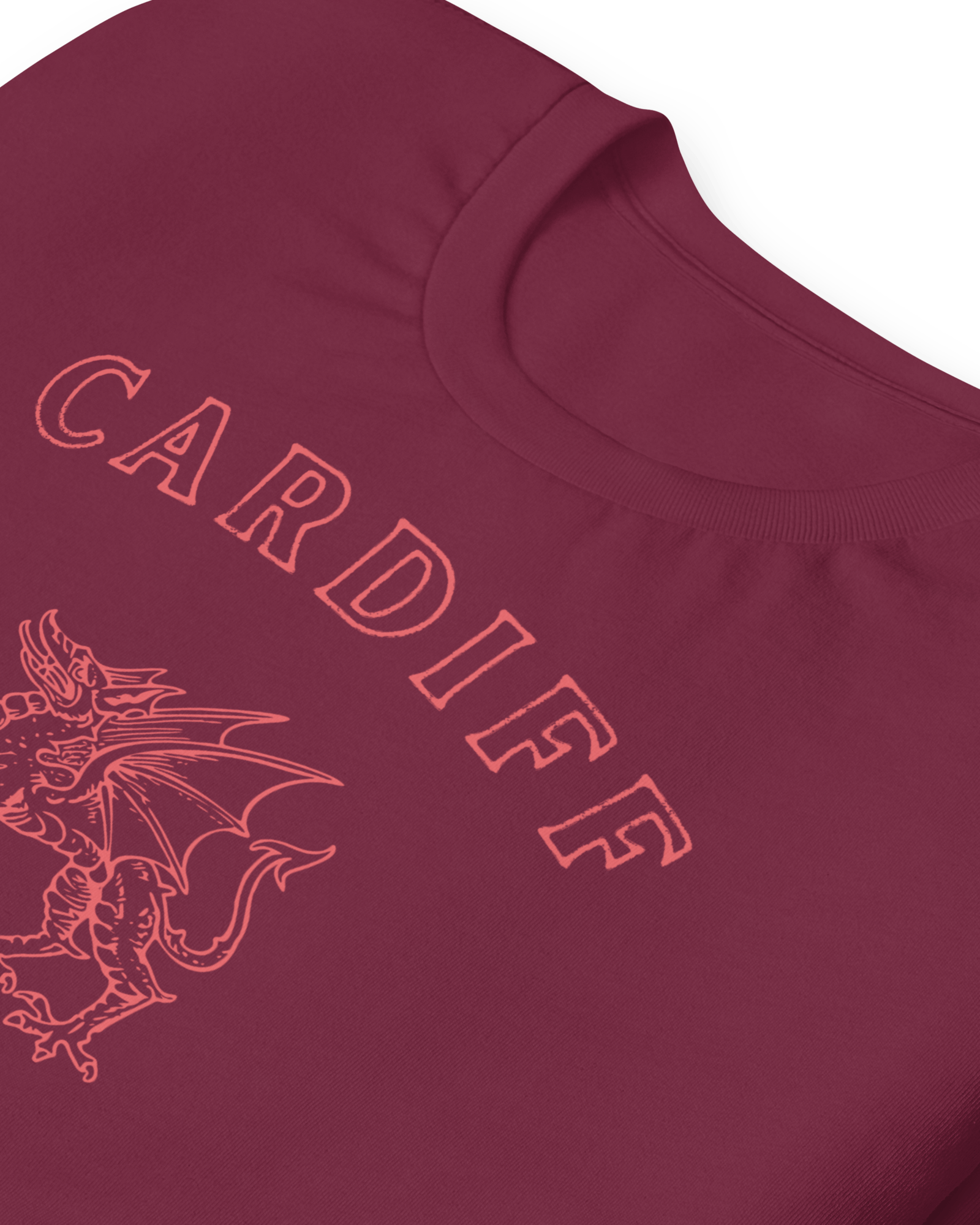 Jolly & Goode Shirts & Tops Cardiff Dragon T-shirt Cheeky British Style