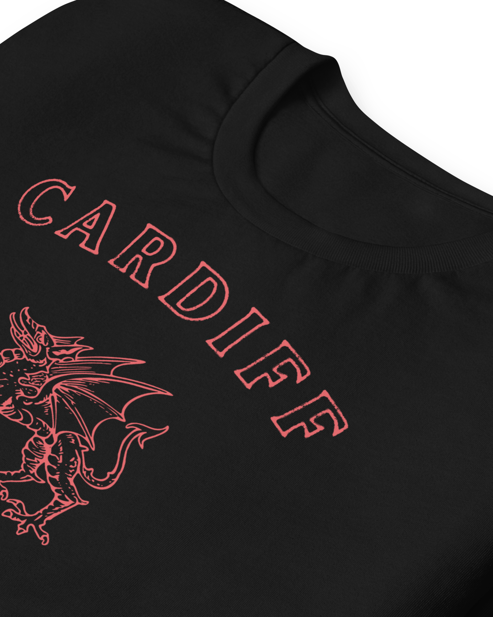 Jolly & Goode Shirts & Tops Cardiff Dragon T-shirt Cheeky British Style