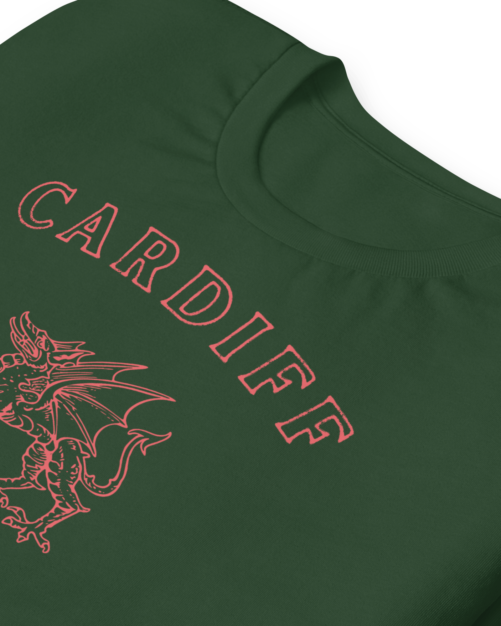 Jolly & Goode Shirts & Tops Cardiff Dragon T-shirt Cheeky British Style