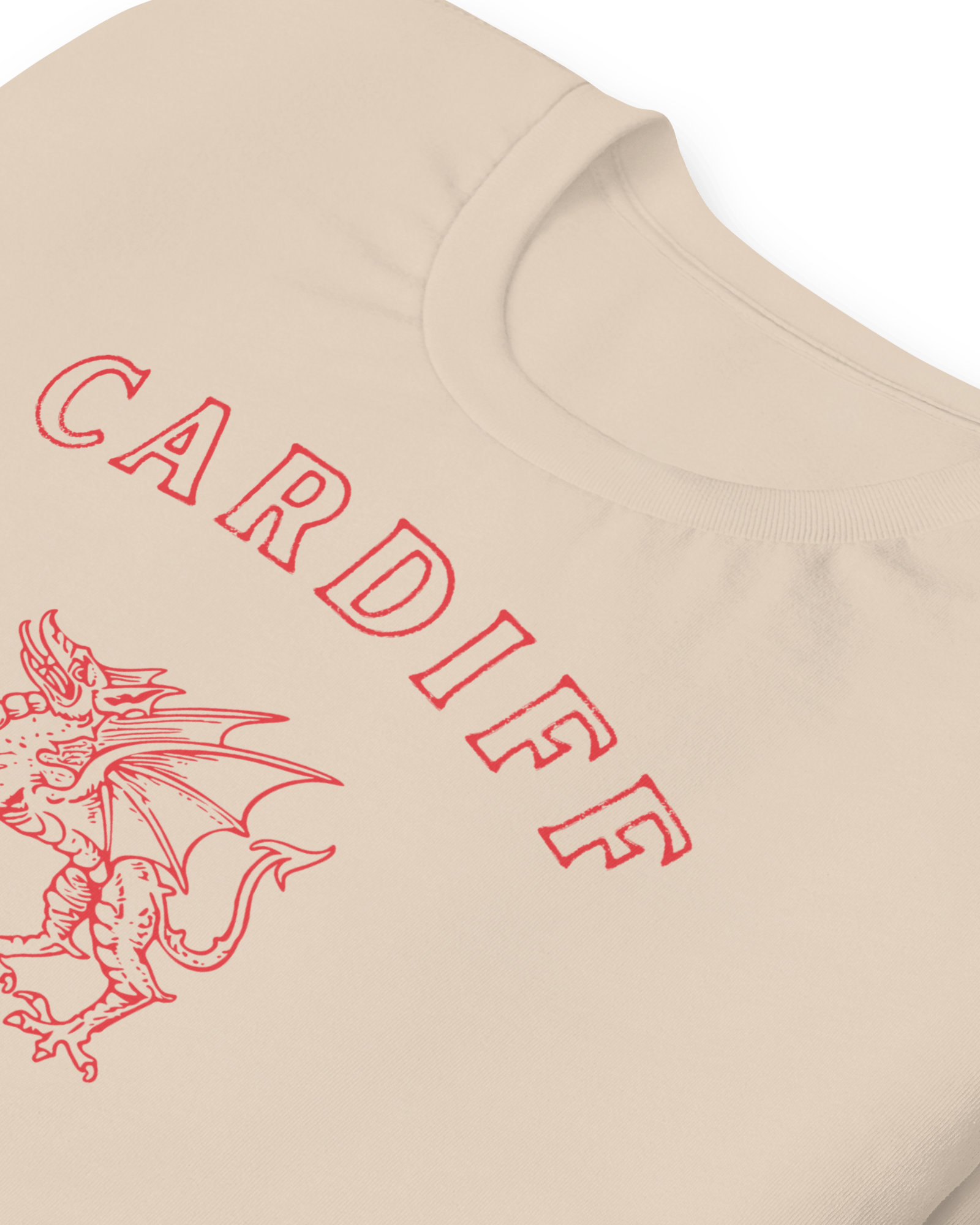 Jolly & Goode Shirts & Tops Cardiff Dragon T-shirt Cheeky British Style