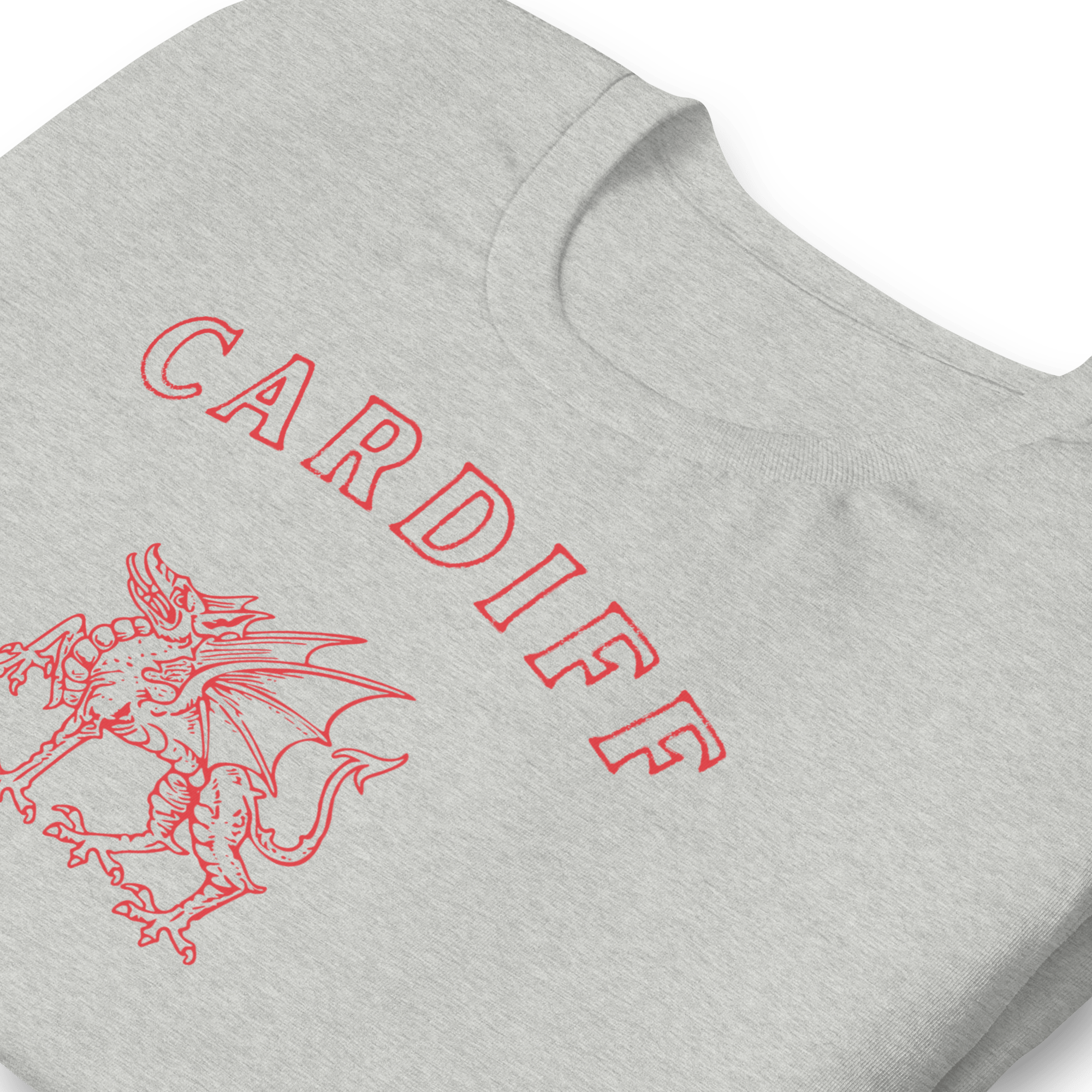 Jolly & Goode Shirts & Tops Cardiff Dragon T-shirt Cheeky British Style