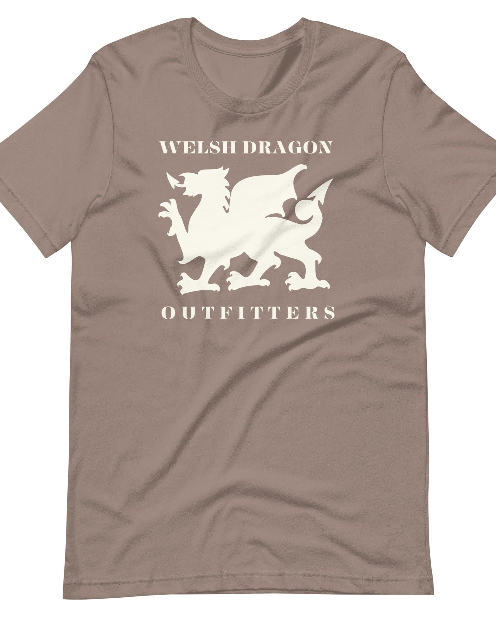 Jolly & Goode Shirts & Tops Pebble / S Welsh Dragon Outfitters T-shirt Cheeky British Style