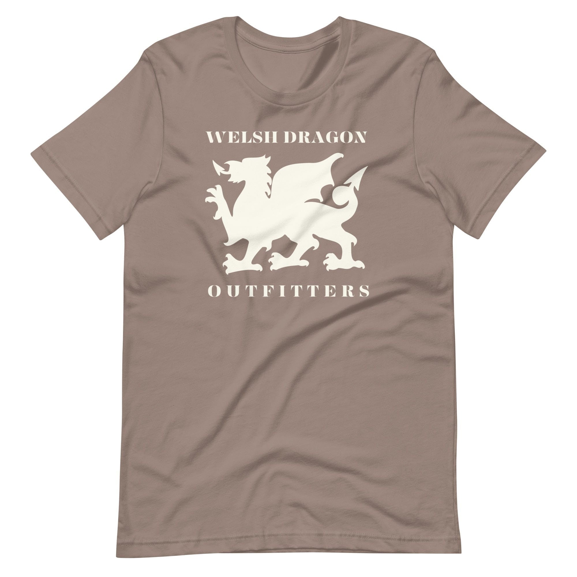 Jolly & Goode Shirts & Tops Pebble / S Welsh Dragon Outfitters T-shirt Cheeky British Style