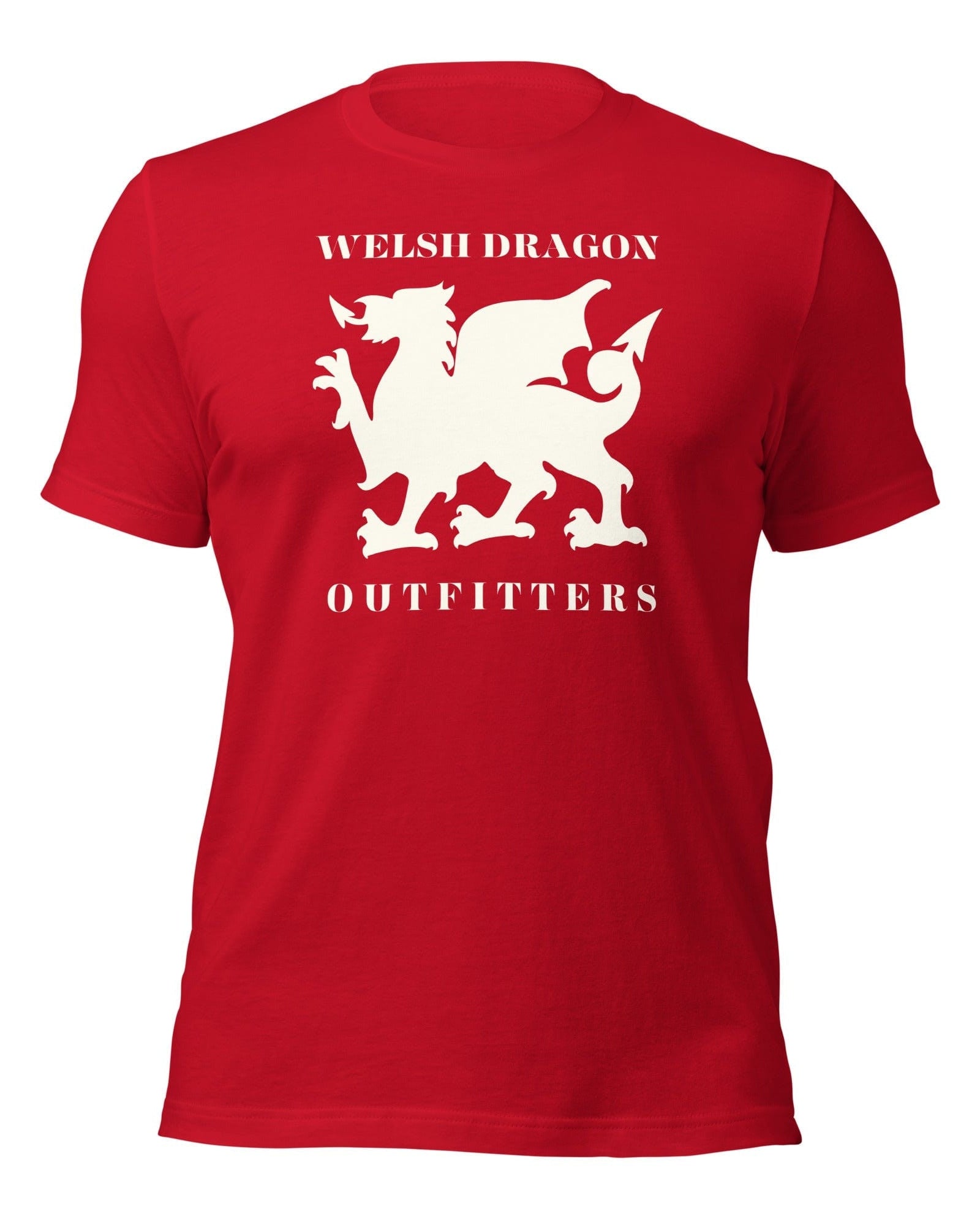 Jolly & Goode Shirts & Tops Welsh Dragon Outfitters T-shirt Cheeky British Style