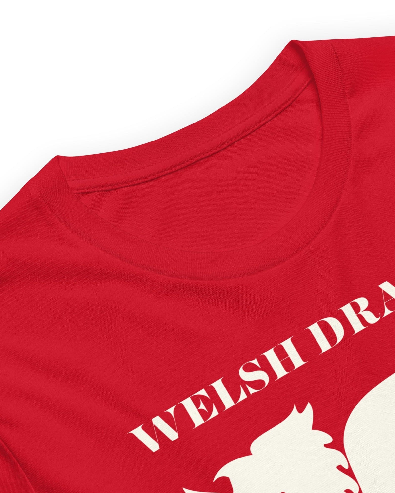 Jolly & Goode Shirts & Tops Welsh Dragon Outfitters T-shirt Cheeky British Style