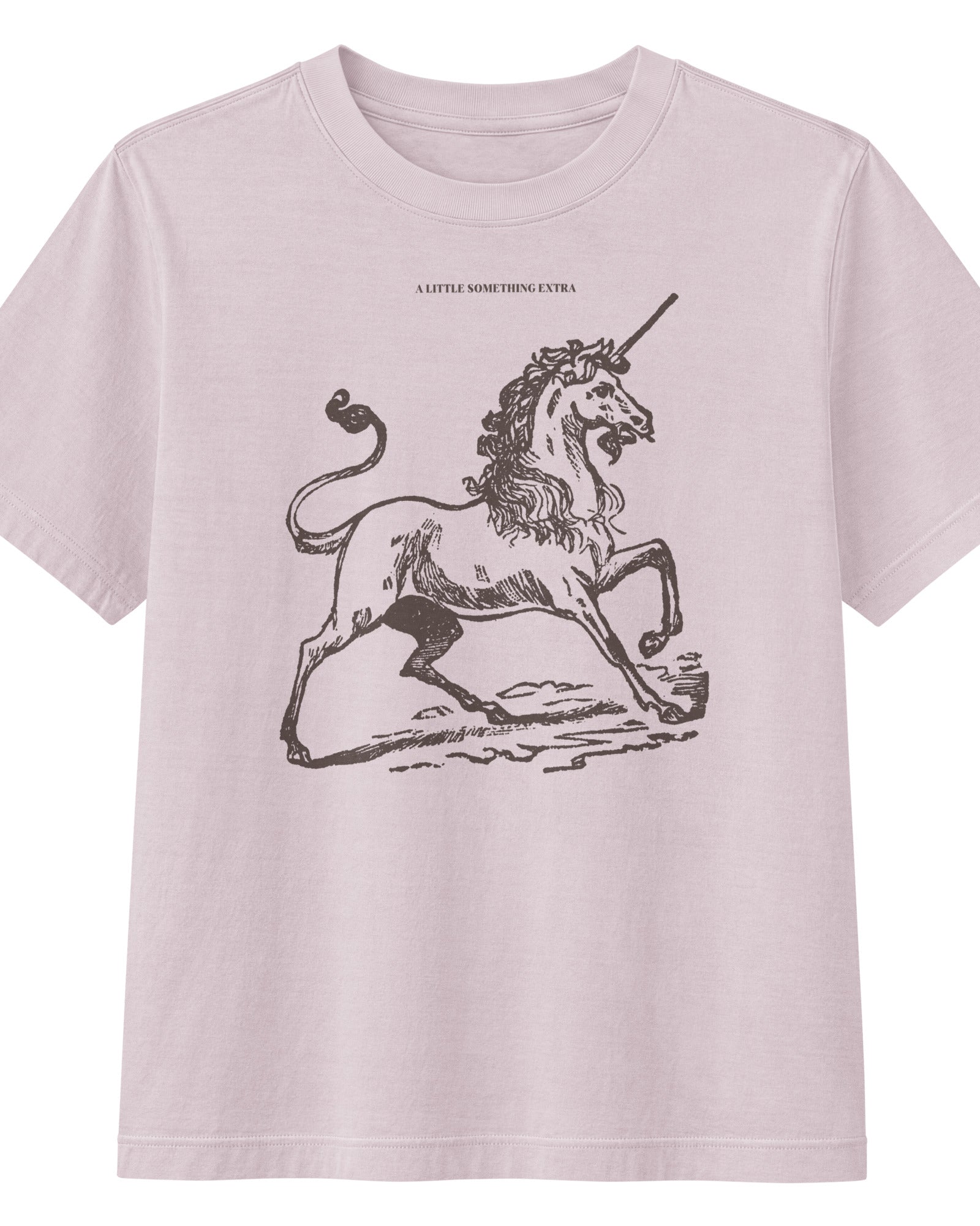 Jolly & Goode Women's Shirts Women's A Little Something Extra Unicorn Boxy Fit Tee Cheeky British Style
