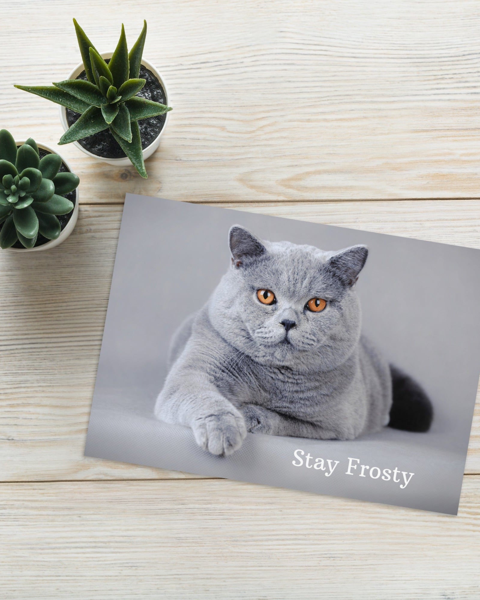 Stay Frosty Greeting Card 5.83″×8.27″ Jolly & Goode