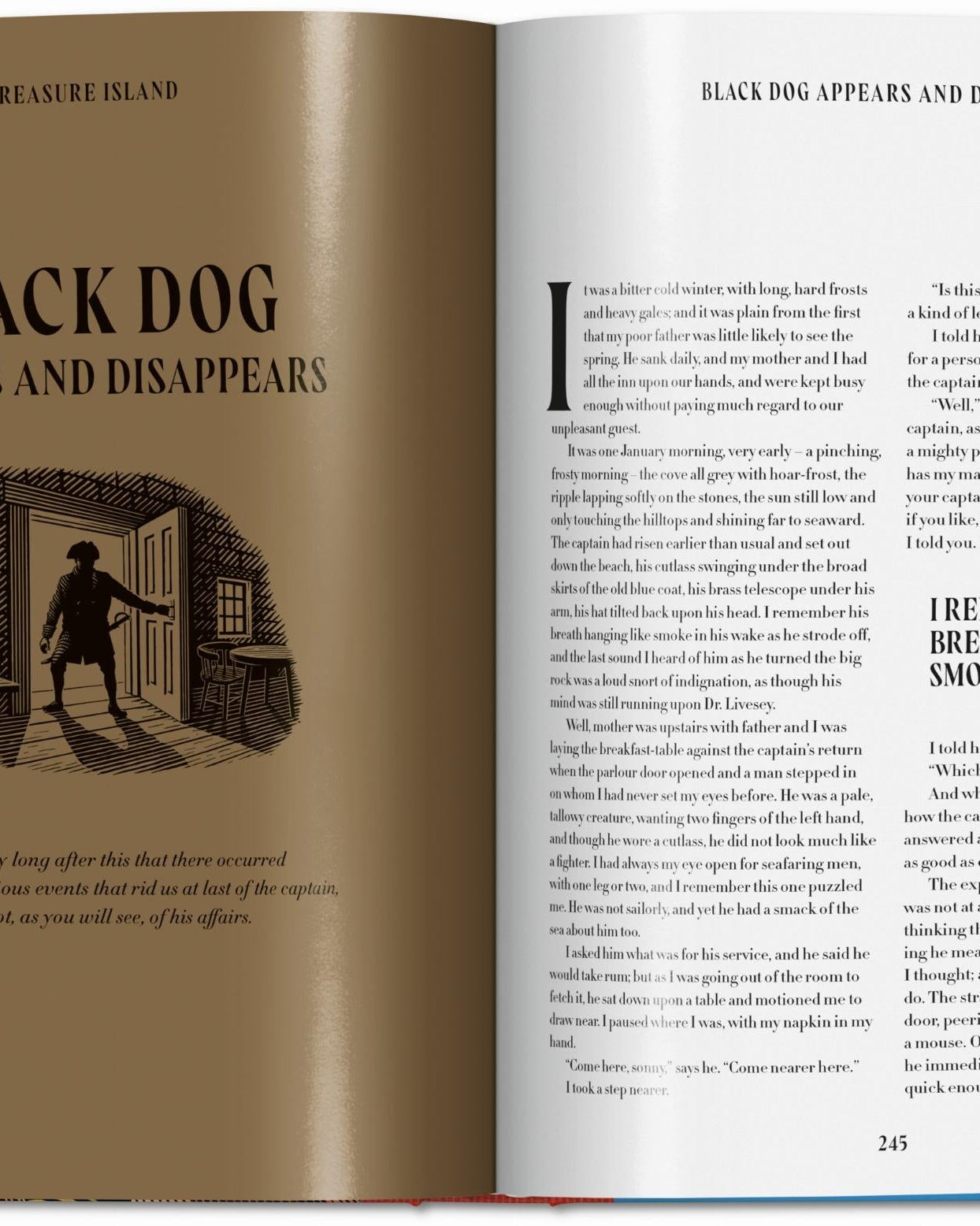 TASCHEN Books Pirate Tales Cheeky British Style