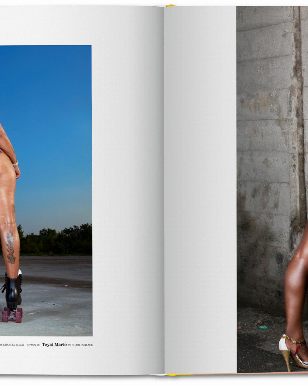 TASCHEN Books The Big Butt Book Cheeky British Style