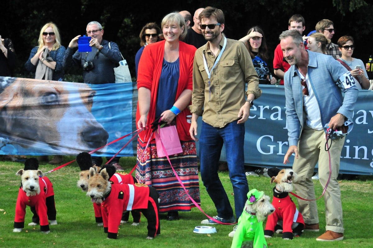 A cheerful guide to enjoying the Chiswick Dog Show, from dog-show etiquette and practical outfits to making a proper West London day of it.