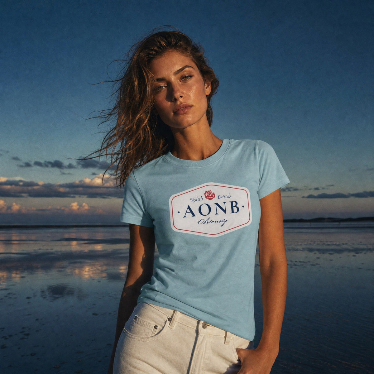 AONB Area of Outstanding Natural Beauty women's relaxed t-shirt in heather blue from Jolly & Goode