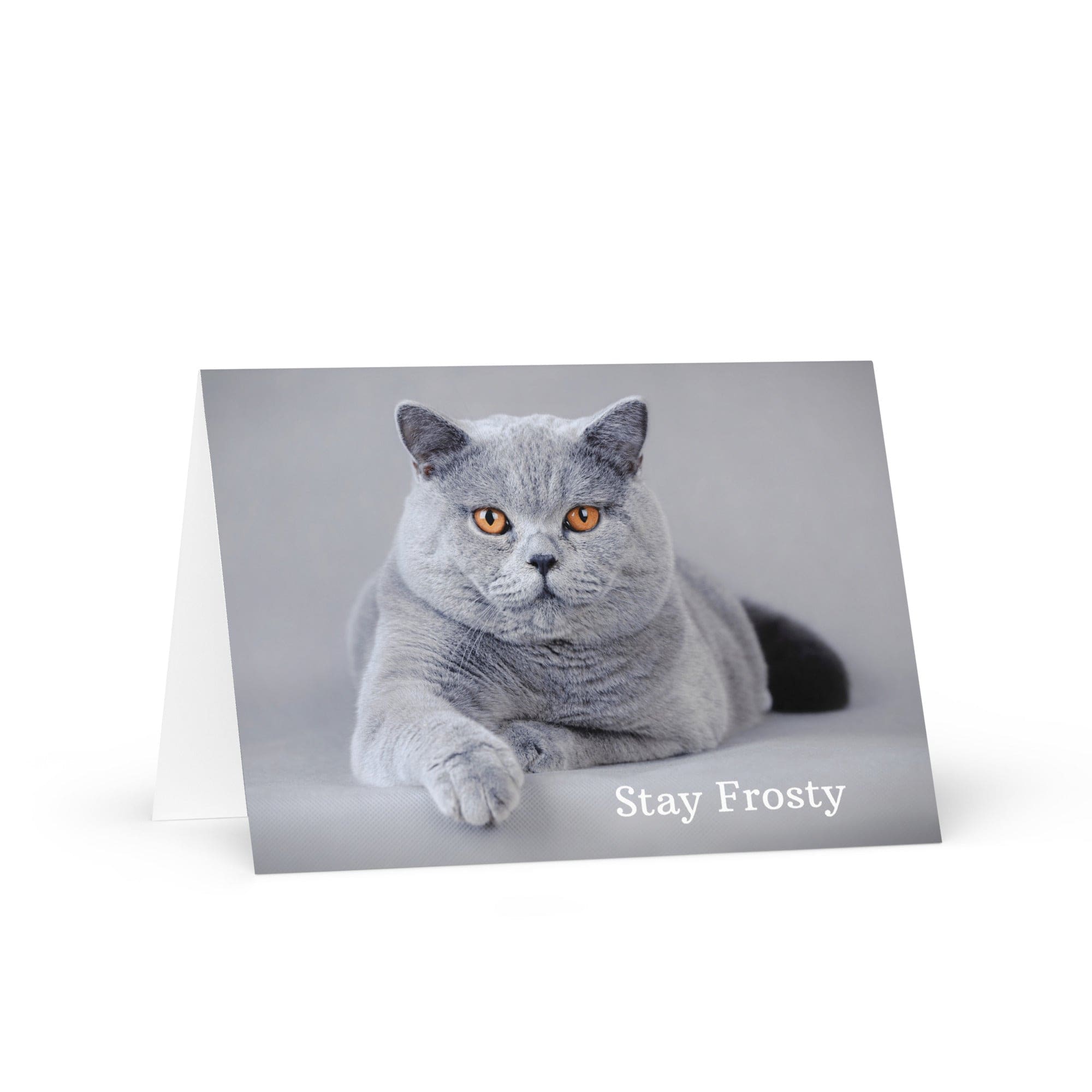 5-Pack Stay Frosty Greeting Cards Greeting & Note Cards Jolly & Goode