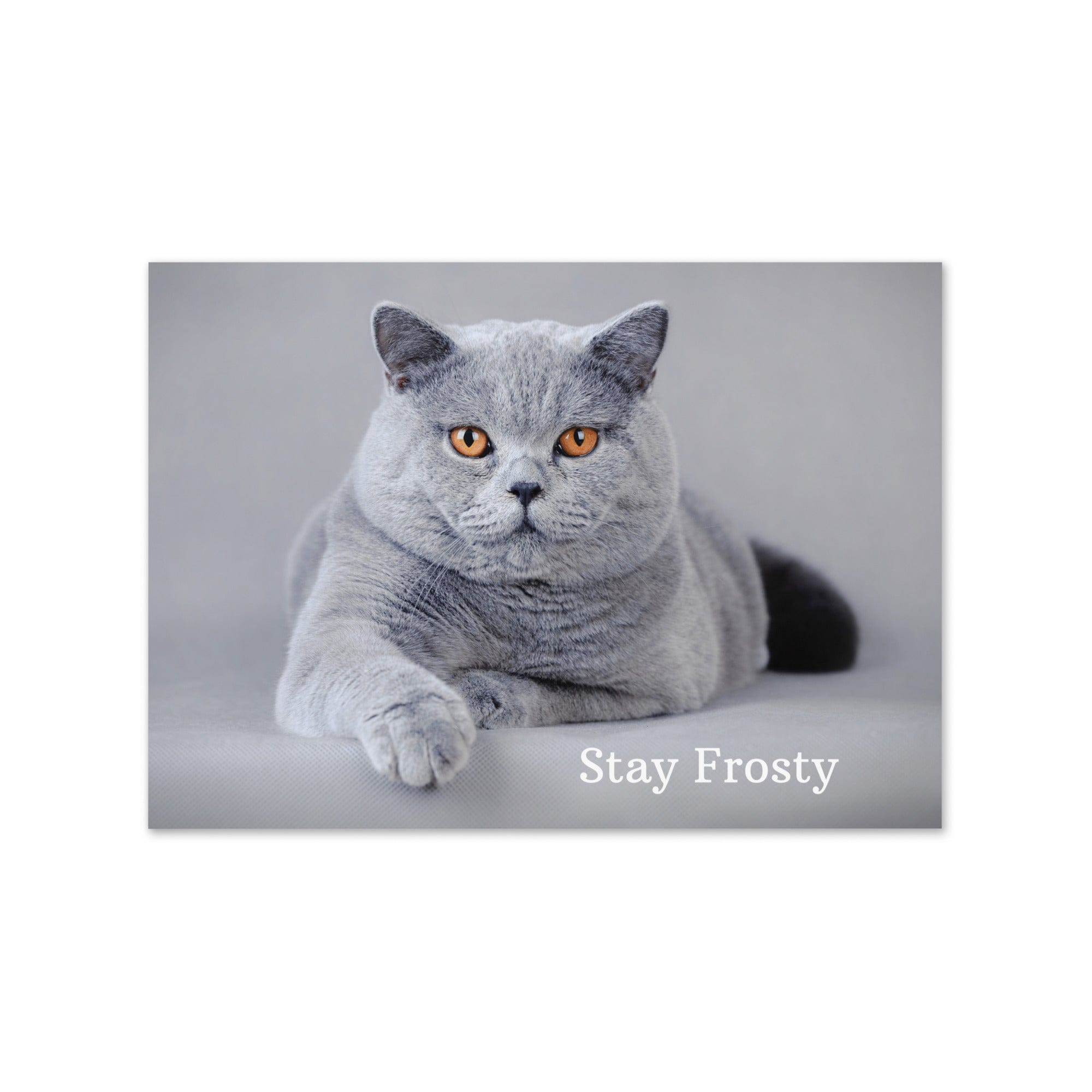 5-Pack Stay Frosty Greeting Cards Greeting & Note Cards Jolly & Goode