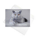 5-Pack Stay Frosty Greeting Cards Greeting & Note Cards Jolly & Goode