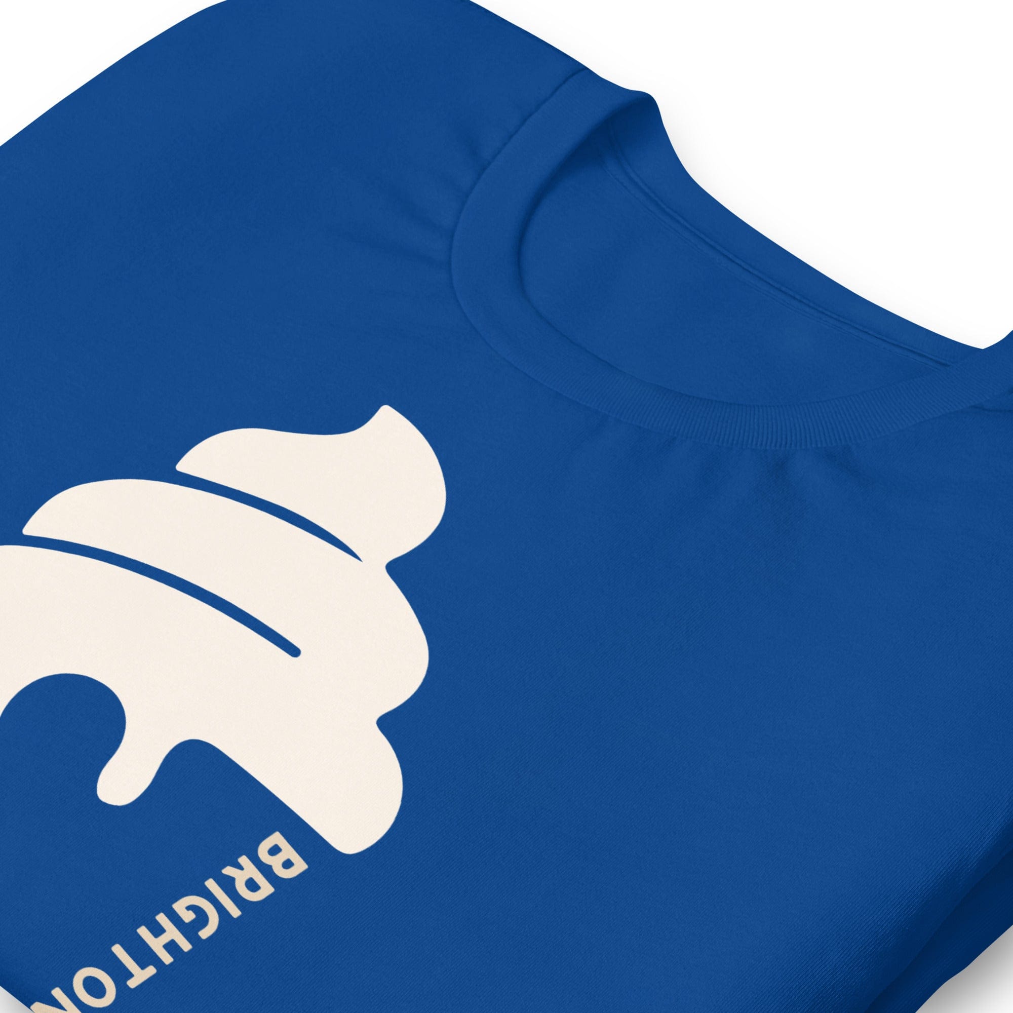 Brighton & Hove Ice Cream T-shirt.