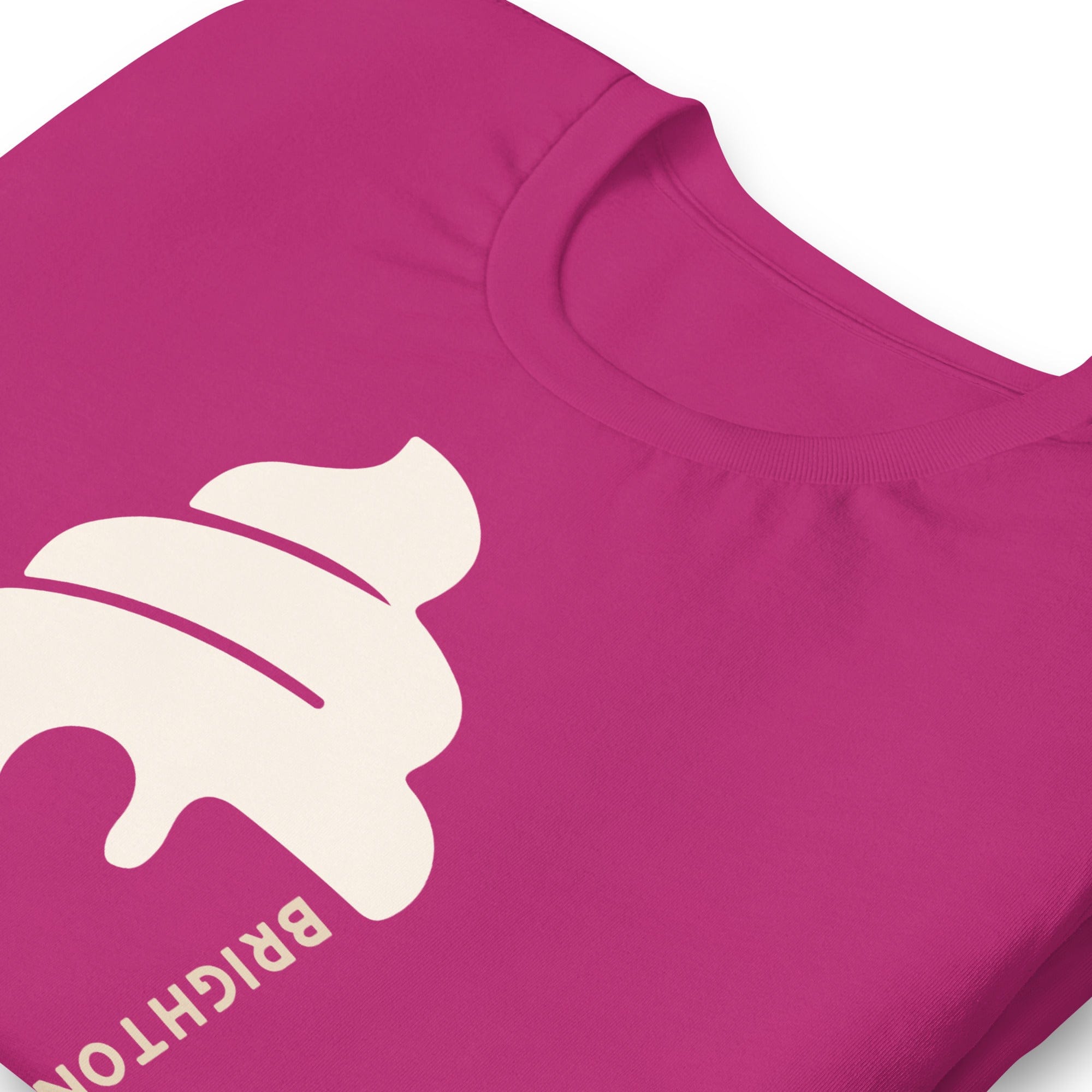 Brighton & Hove Ice Cream T-shirt.