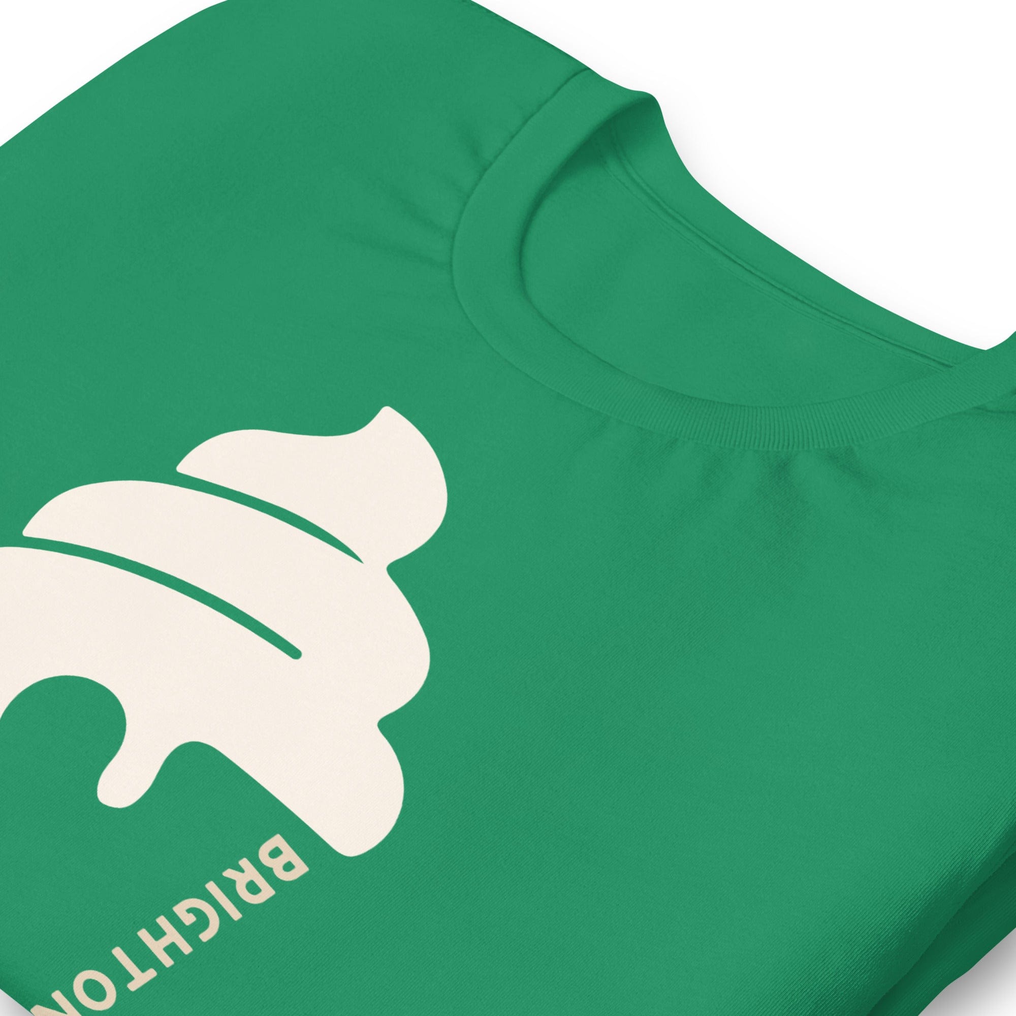 Brighton & Hove Ice Cream T-shirt.