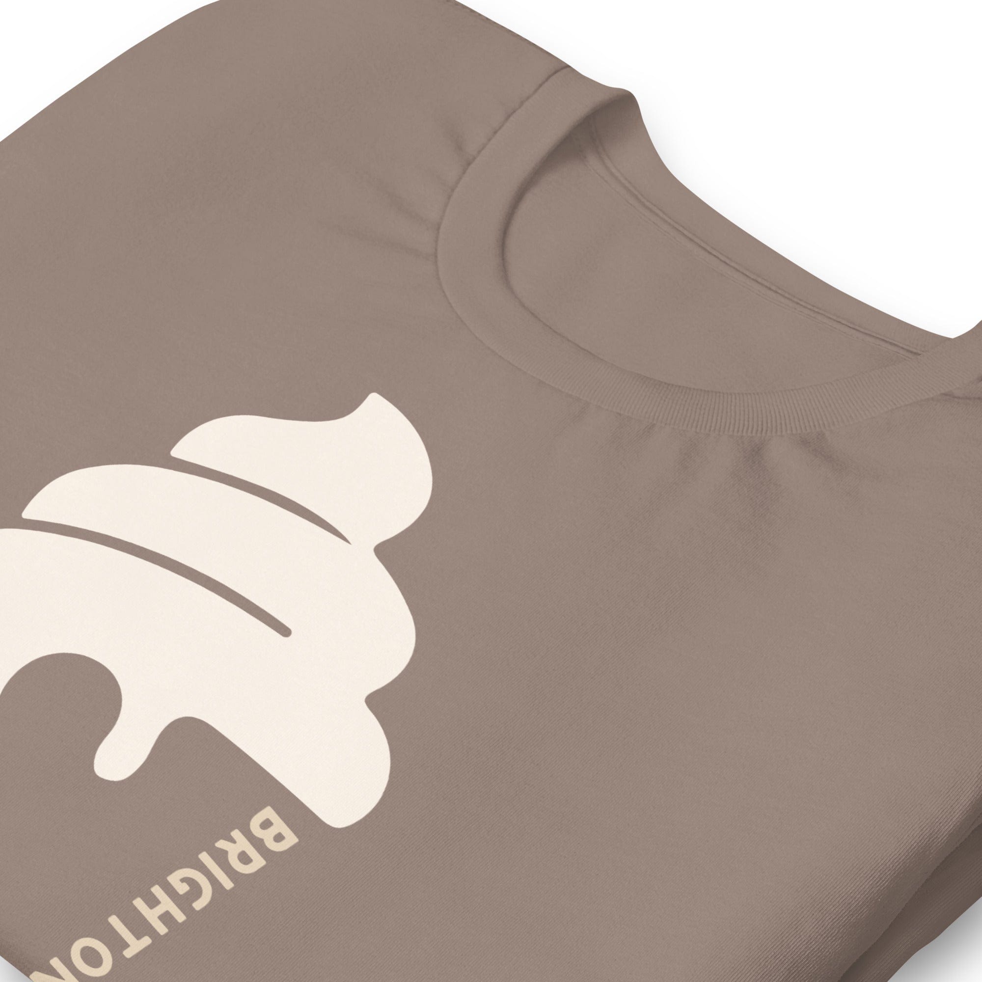 Brighton & Hove Ice Cream T-shirt.