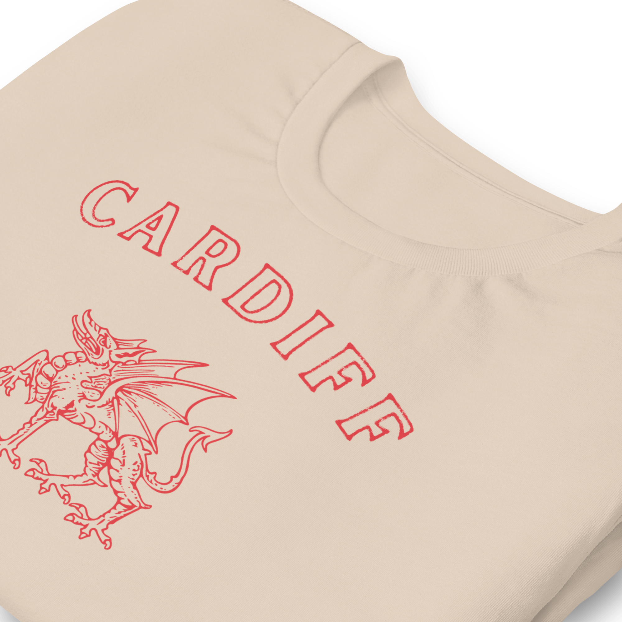 Cardiff Dragon T-shirt Shirts & Tops Jolly & Goode