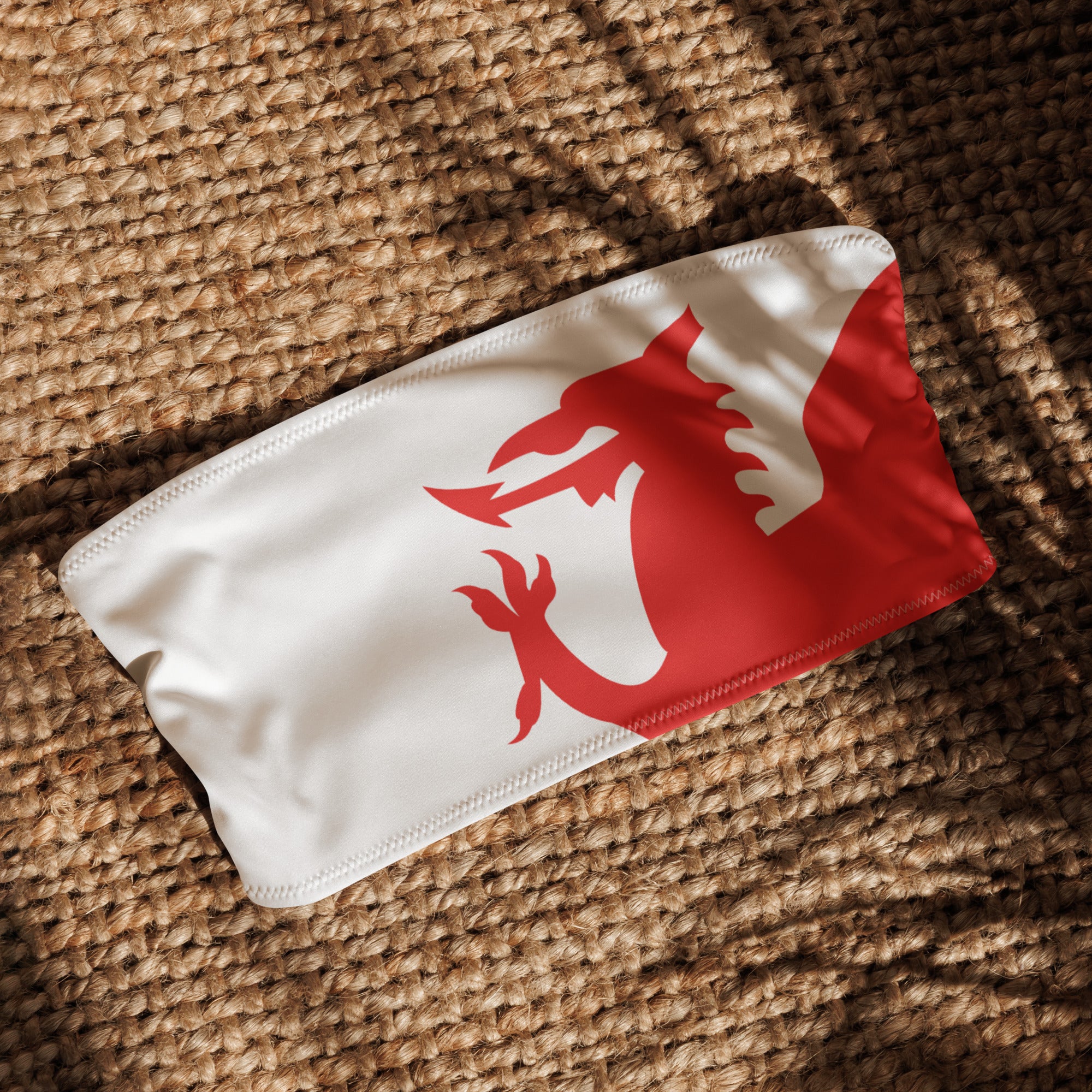 Jolly & Goode Bikini Top Flag of Wales Bandeau Bikini Top | Welsh Flag Cheeky British Style
