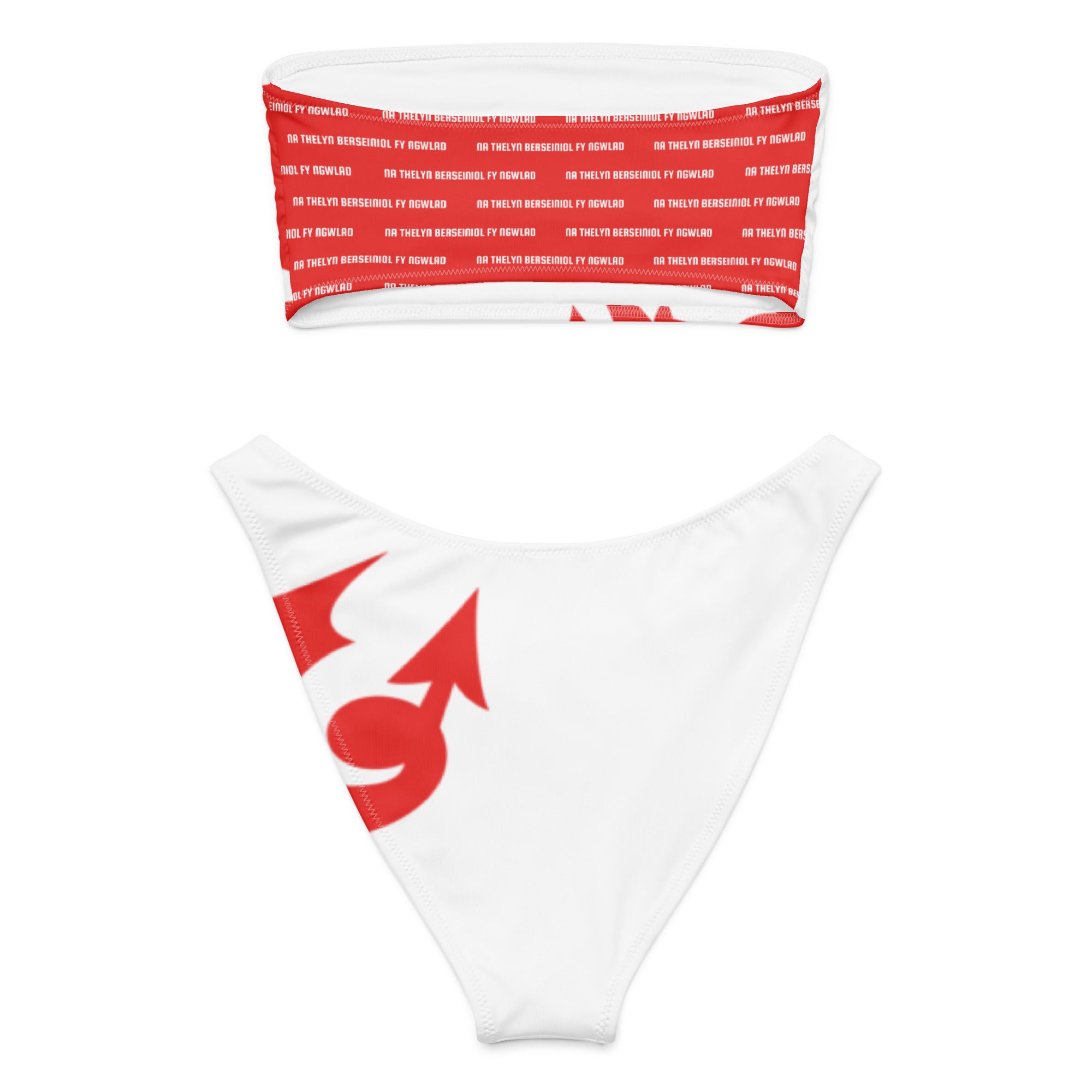 Jolly & Goode Bikini Welsh Dragon Bandeau Bikini Set Cheeky British Style
