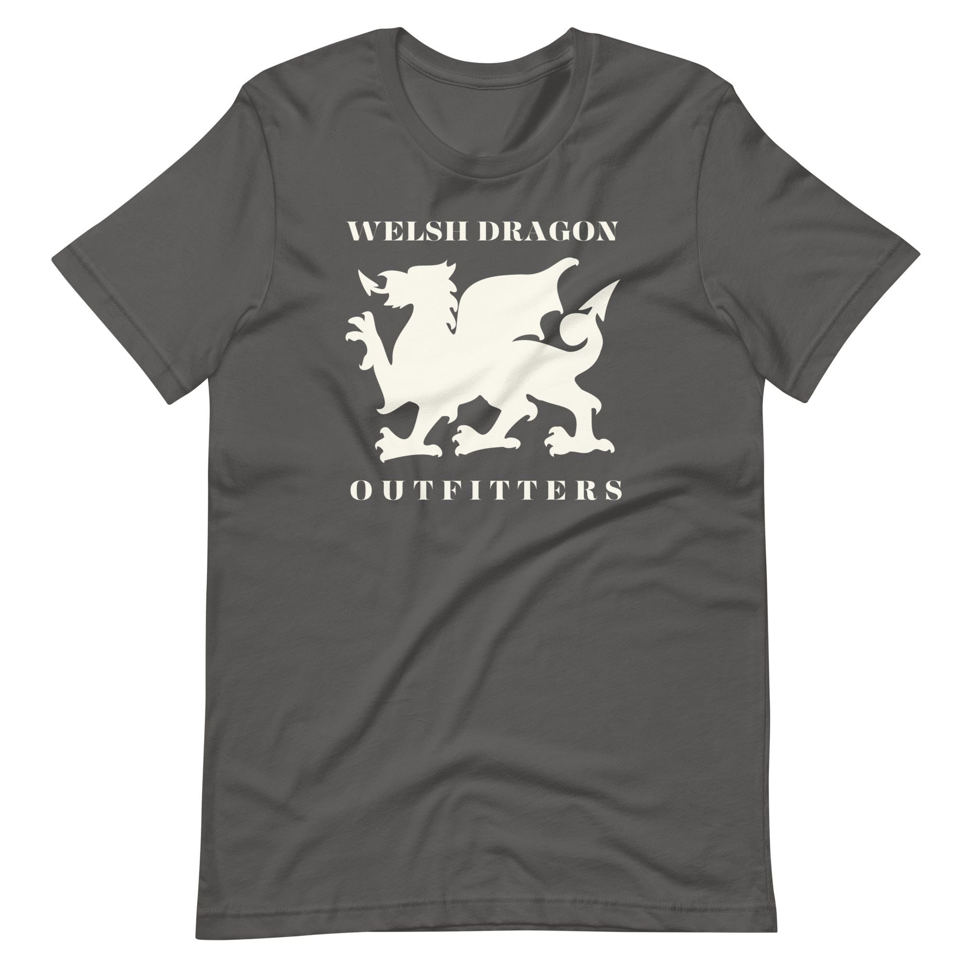 Jolly & Goode Shirts & Tops Asphalt / S Welsh Dragon Outfitters T-shirt Cheeky British Style