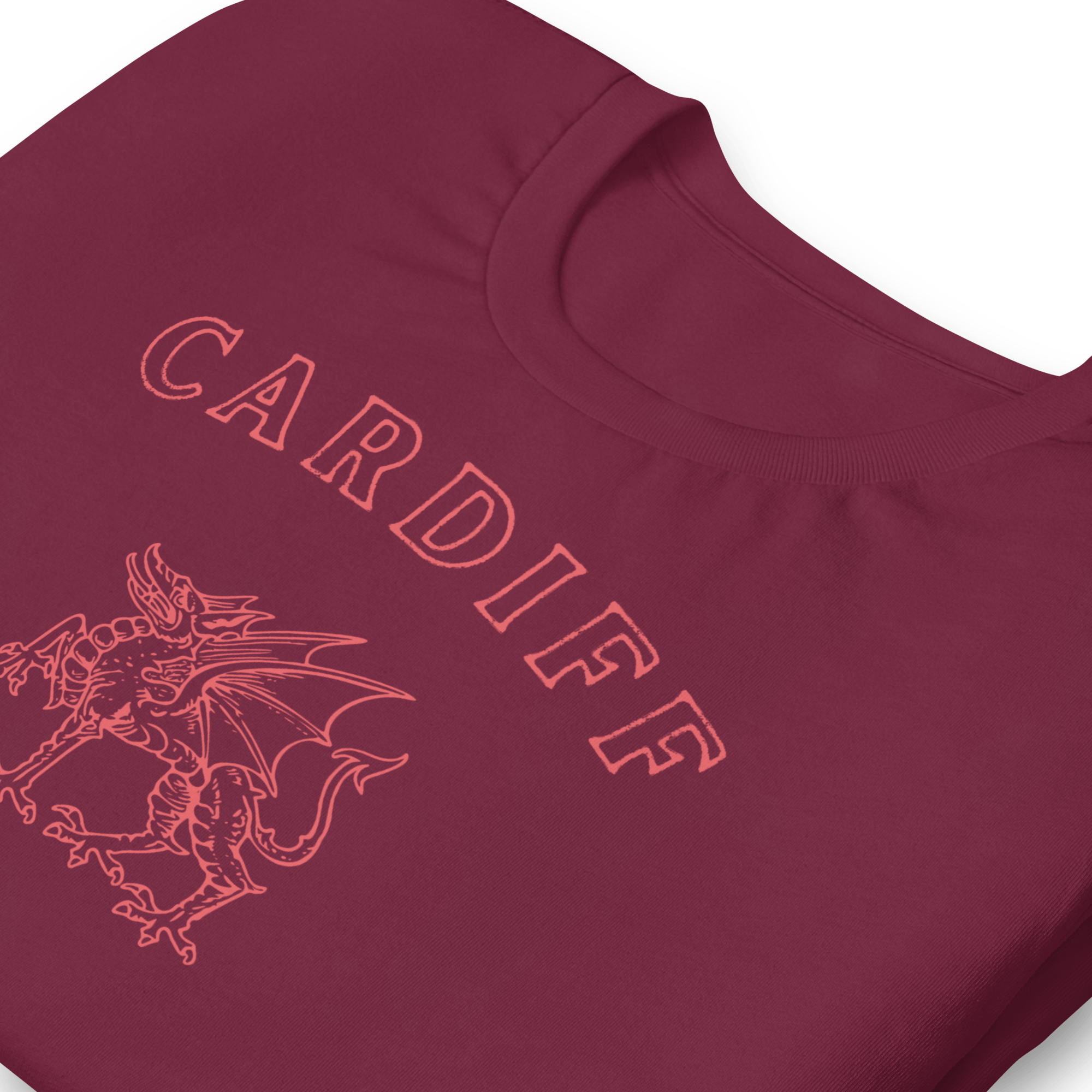 Jolly & Goode Shirts & Tops Cardiff Dragon T-shirt Cheeky British Style