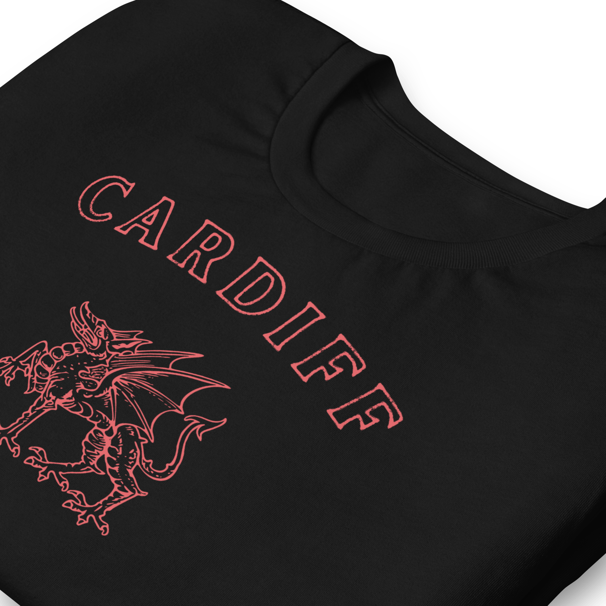 Jolly & Goode Shirts & Tops Cardiff Dragon T-shirt Cheeky British Style