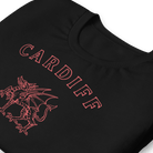 Jolly & Goode Shirts & Tops Cardiff Dragon T-shirt Cheeky British Style
