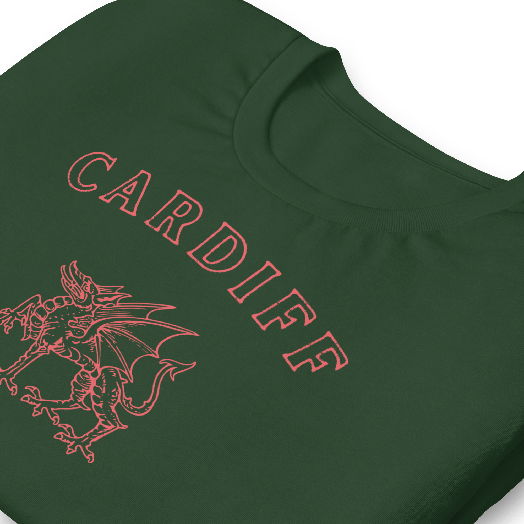 Jolly & Goode Shirts & Tops Cardiff Dragon T-shirt Cheeky British Style
