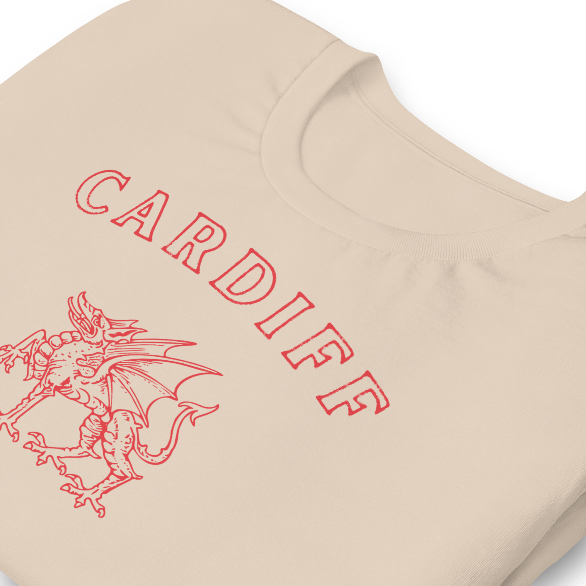 Jolly & Goode Shirts & Tops Cardiff Dragon T-shirt Cheeky British Style