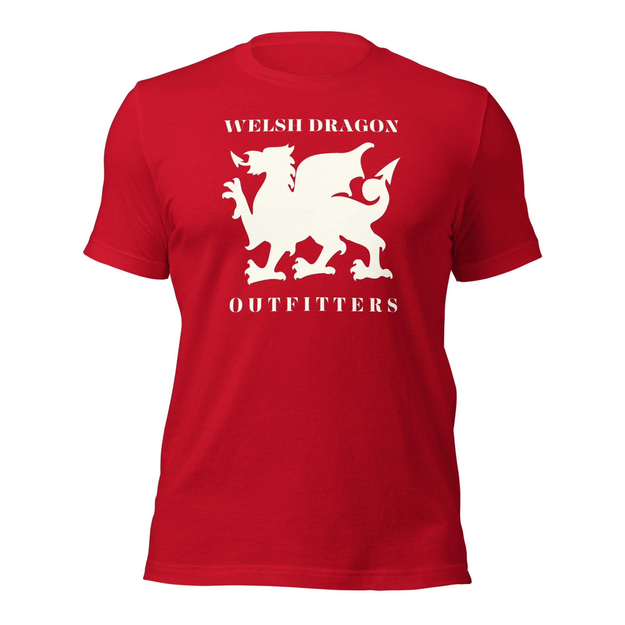 Jolly & Goode Shirts & Tops Welsh Dragon Outfitters T-shirt Cheeky British Style
