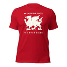 Jolly & Goode Shirts & Tops Welsh Dragon Outfitters T-shirt Cheeky British Style