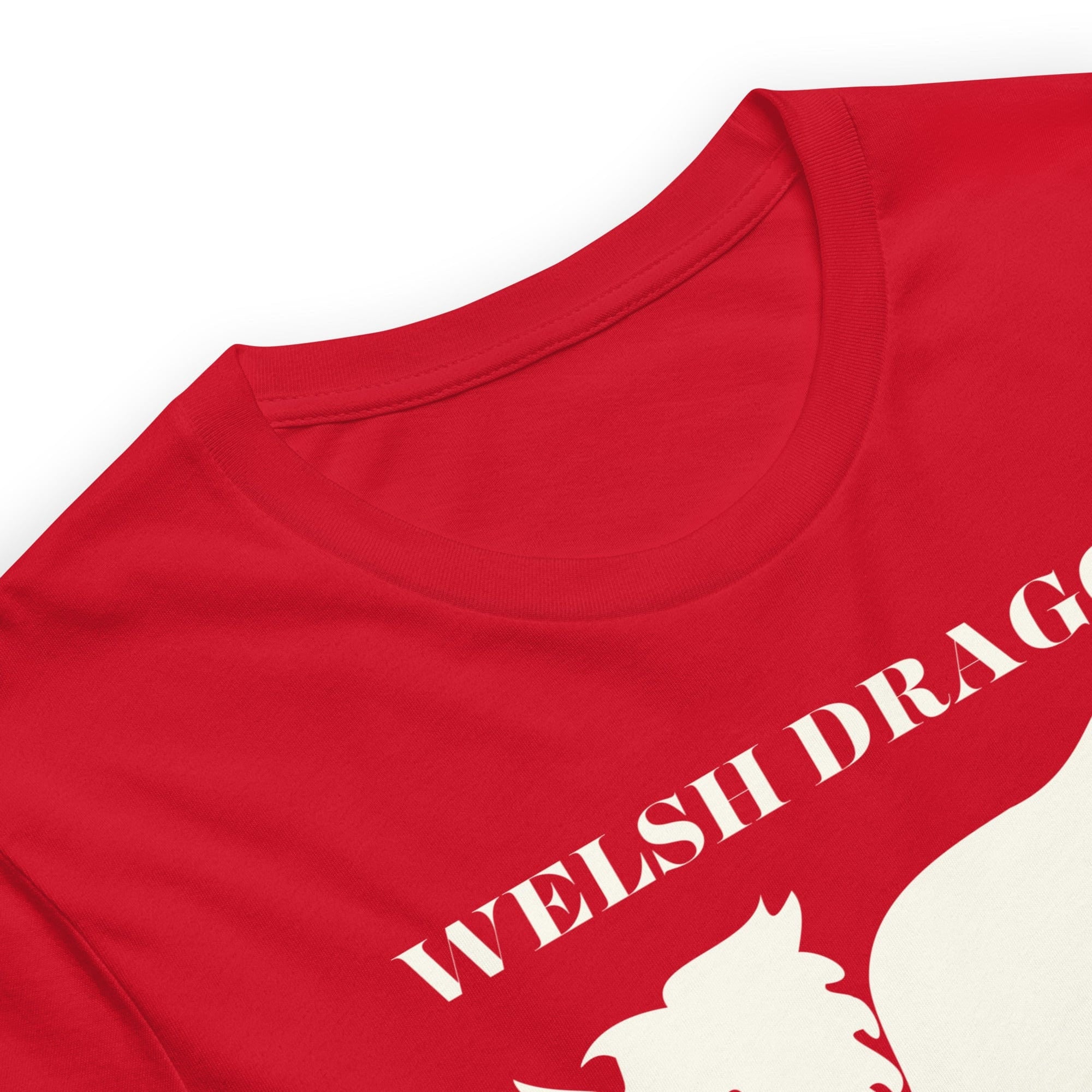 Jolly & Goode Shirts & Tops Welsh Dragon Outfitters T-shirt Cheeky British Style