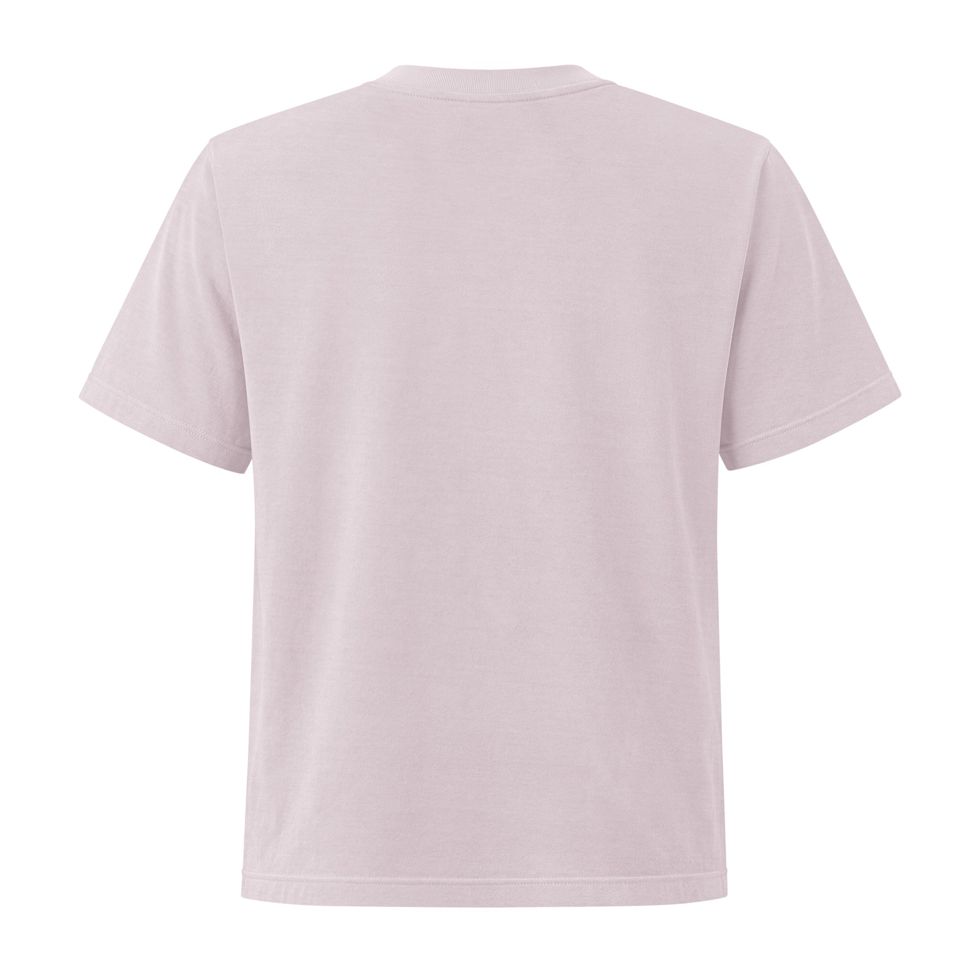 Jolly & Goode Women's Shirts Women's A Little Something Extra Unicorn Boxy Fit Tee Cheeky British Style