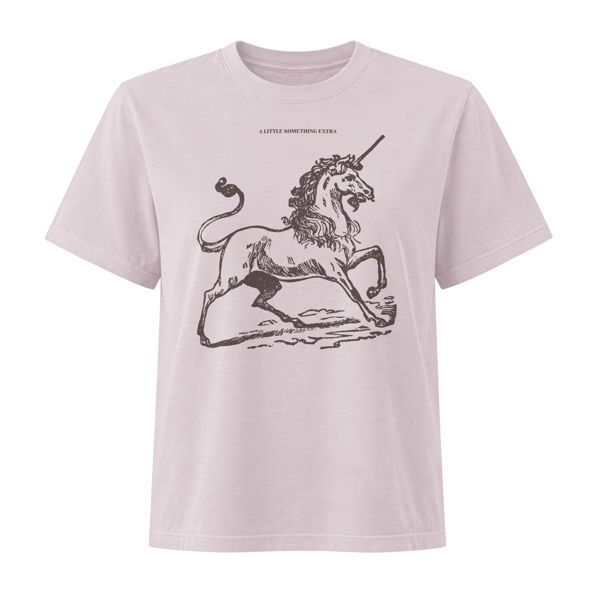 Jolly & Goode Women's Shirts Women's A Little Something Extra Unicorn Boxy Fit Tee Cheeky British Style