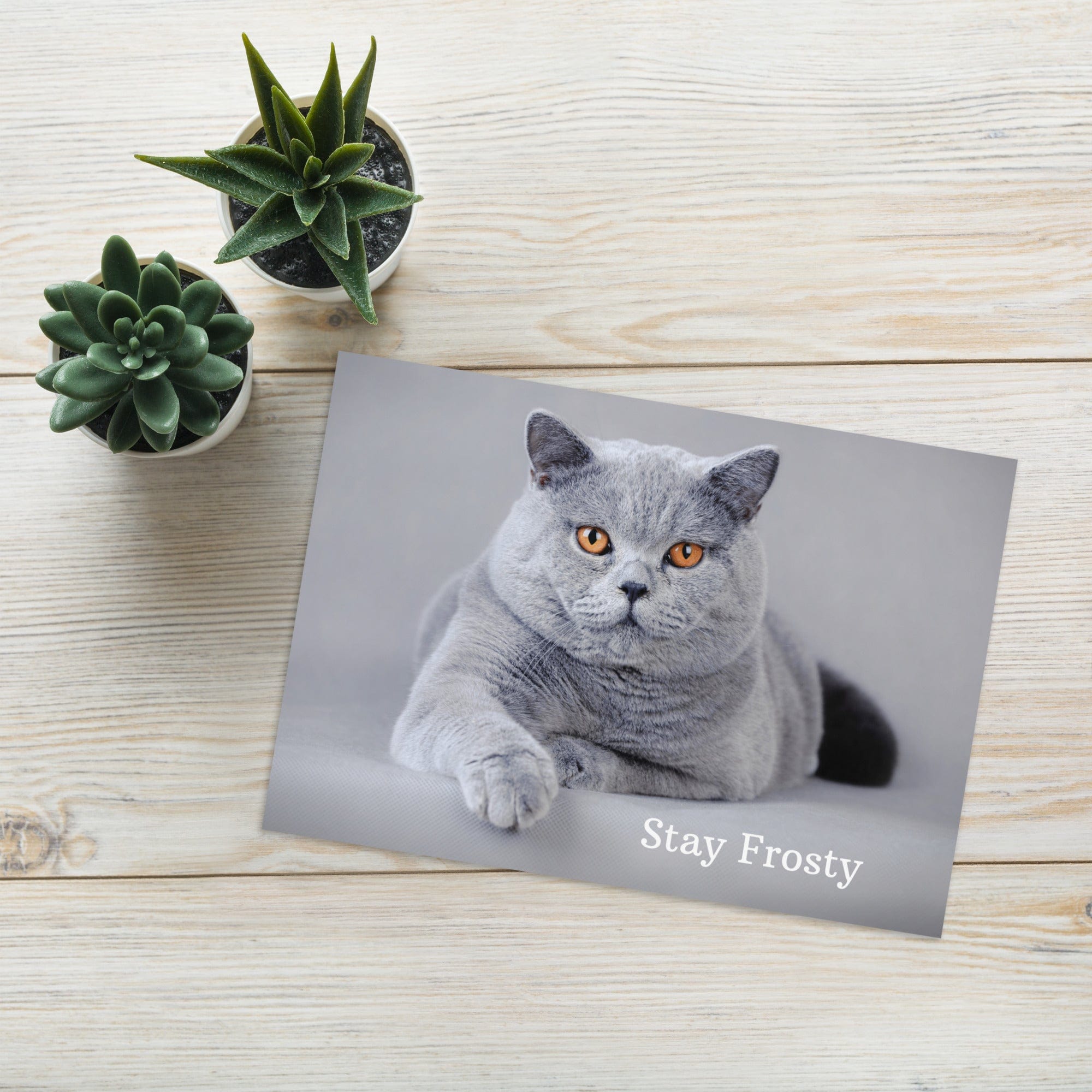 Stay Frosty Greeting Card 5.83″×8.27″ Jolly & Goode