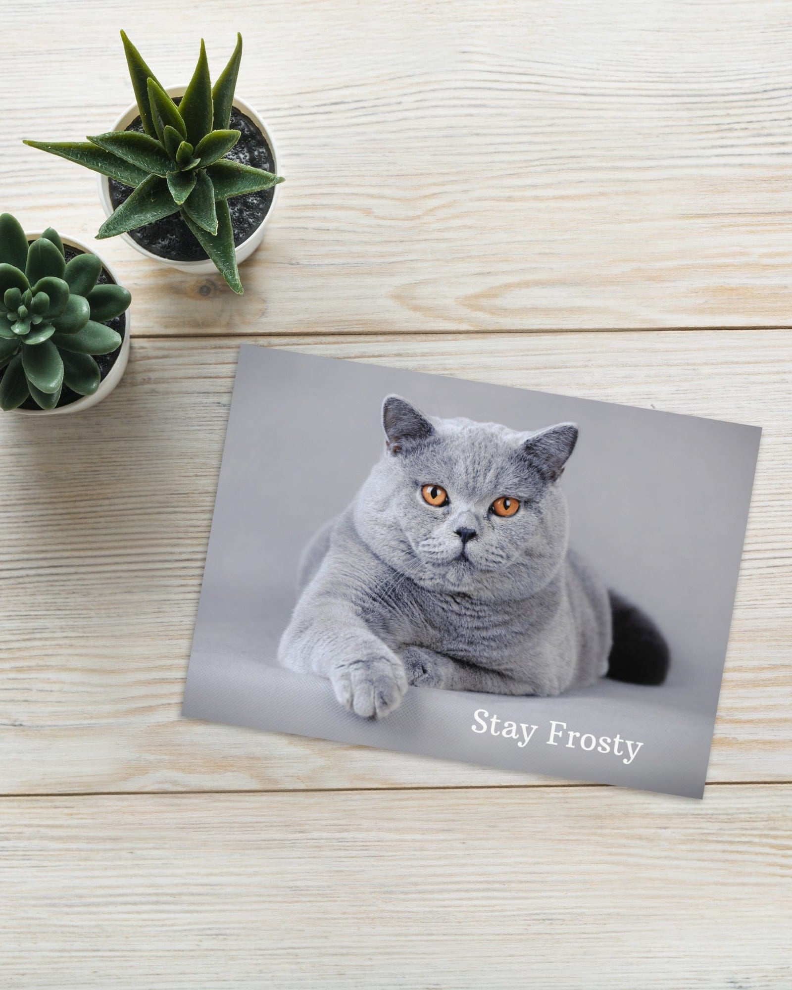 Stay Frosty Greeting Card 5″×7″ Jolly & Goode